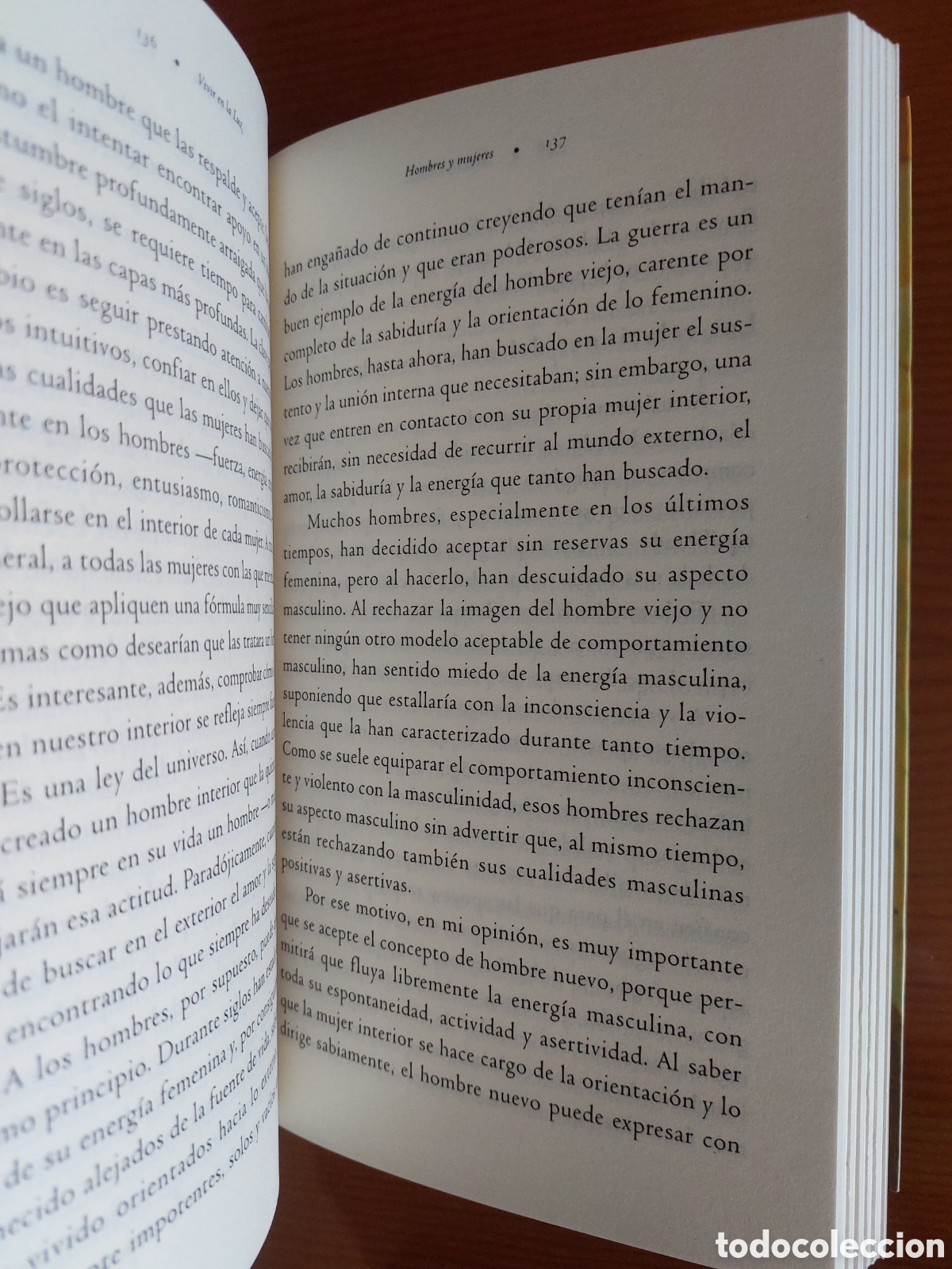 Libros: Vivir en la luz. Shakti Gawain - Foto 4