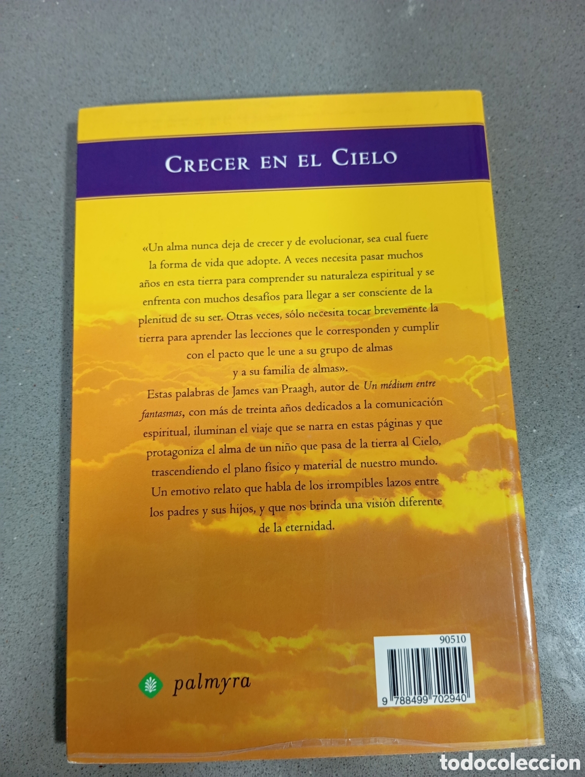 Libros: Crecer en el cielo, de James Van Praagh - Foto 2