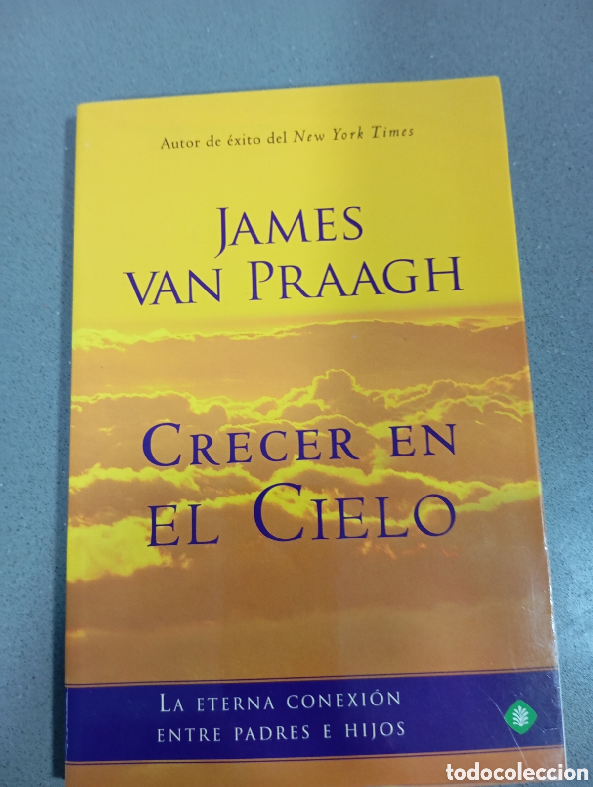 Libros: Crecer en el cielo, de James Van Praagh