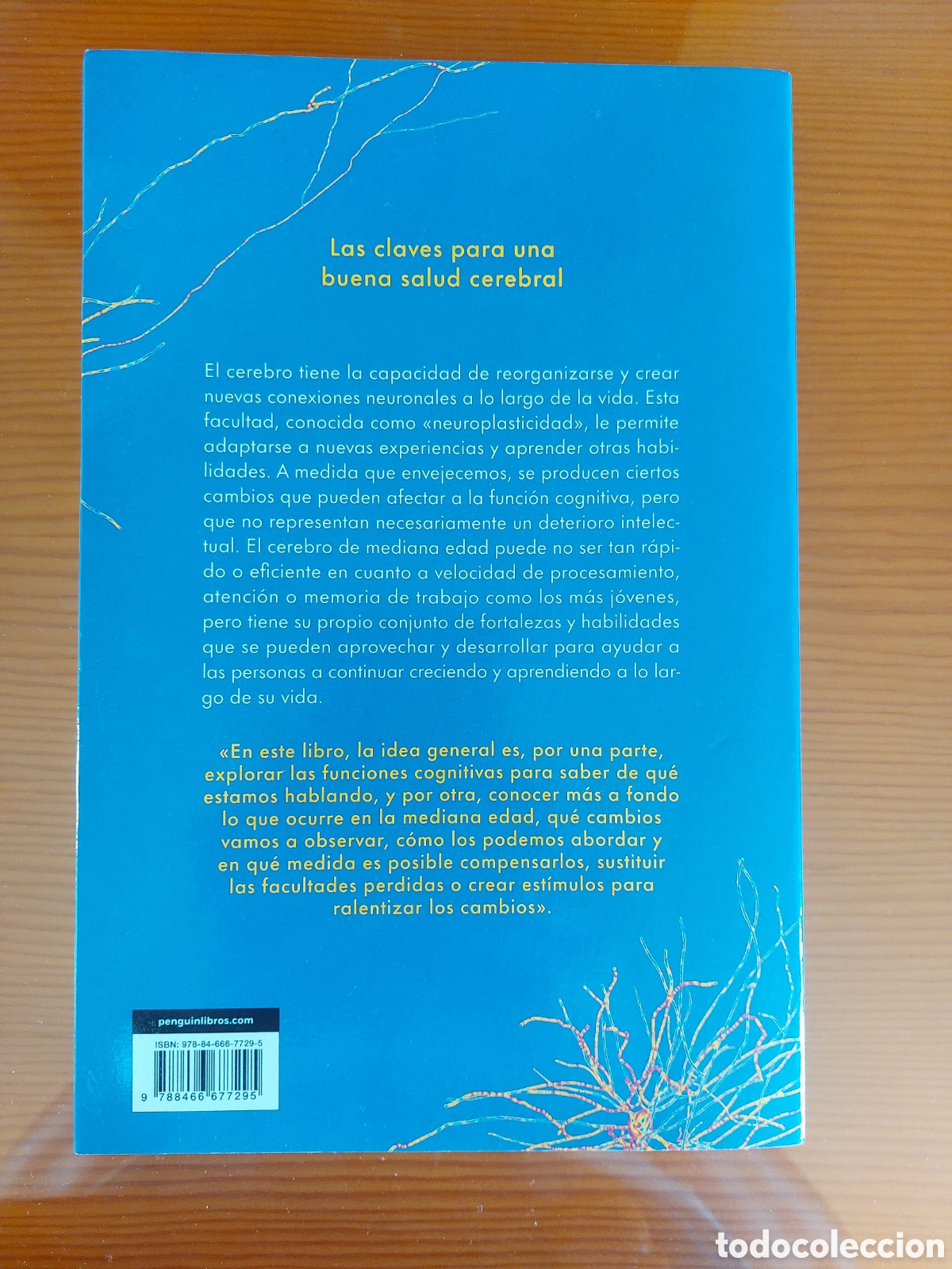 Libros: Viaje a tu cerebro. Gema Climent - Foto 7
