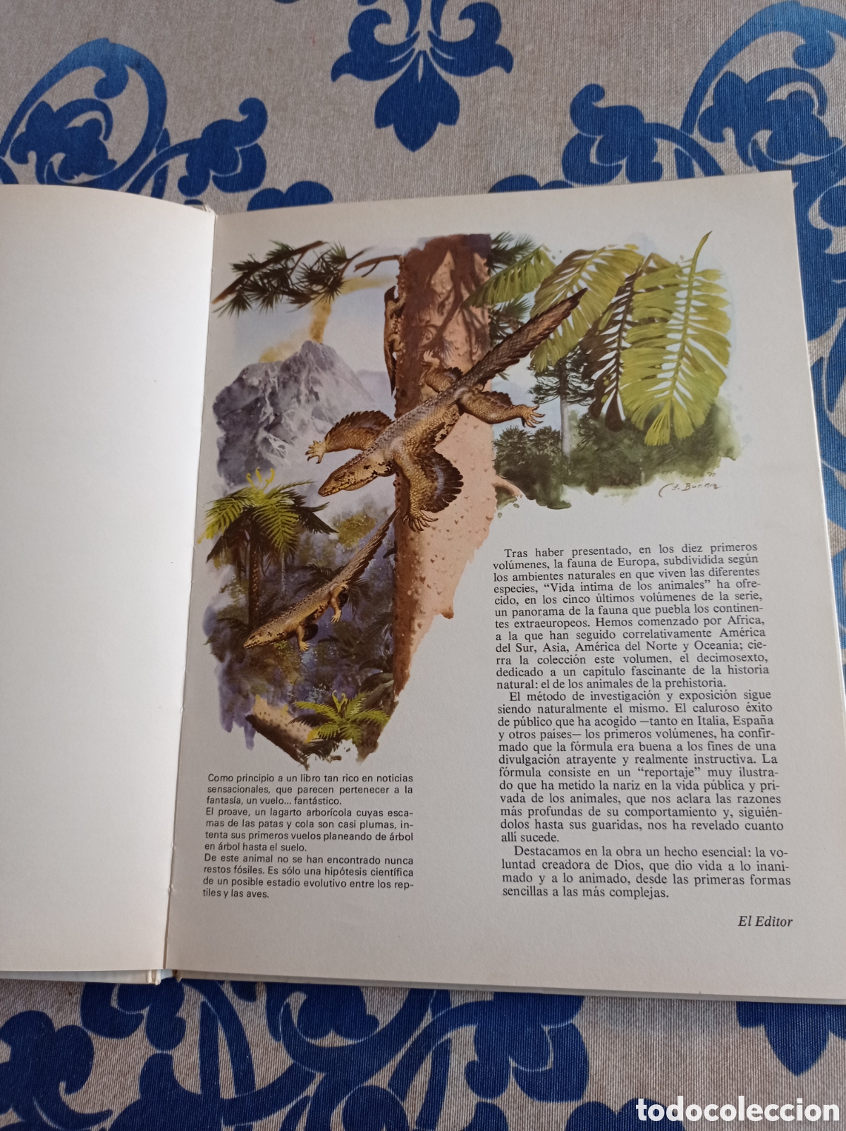 Libros: Vida &iacute;ntima de los animales de la prehistoria. - Foto 3