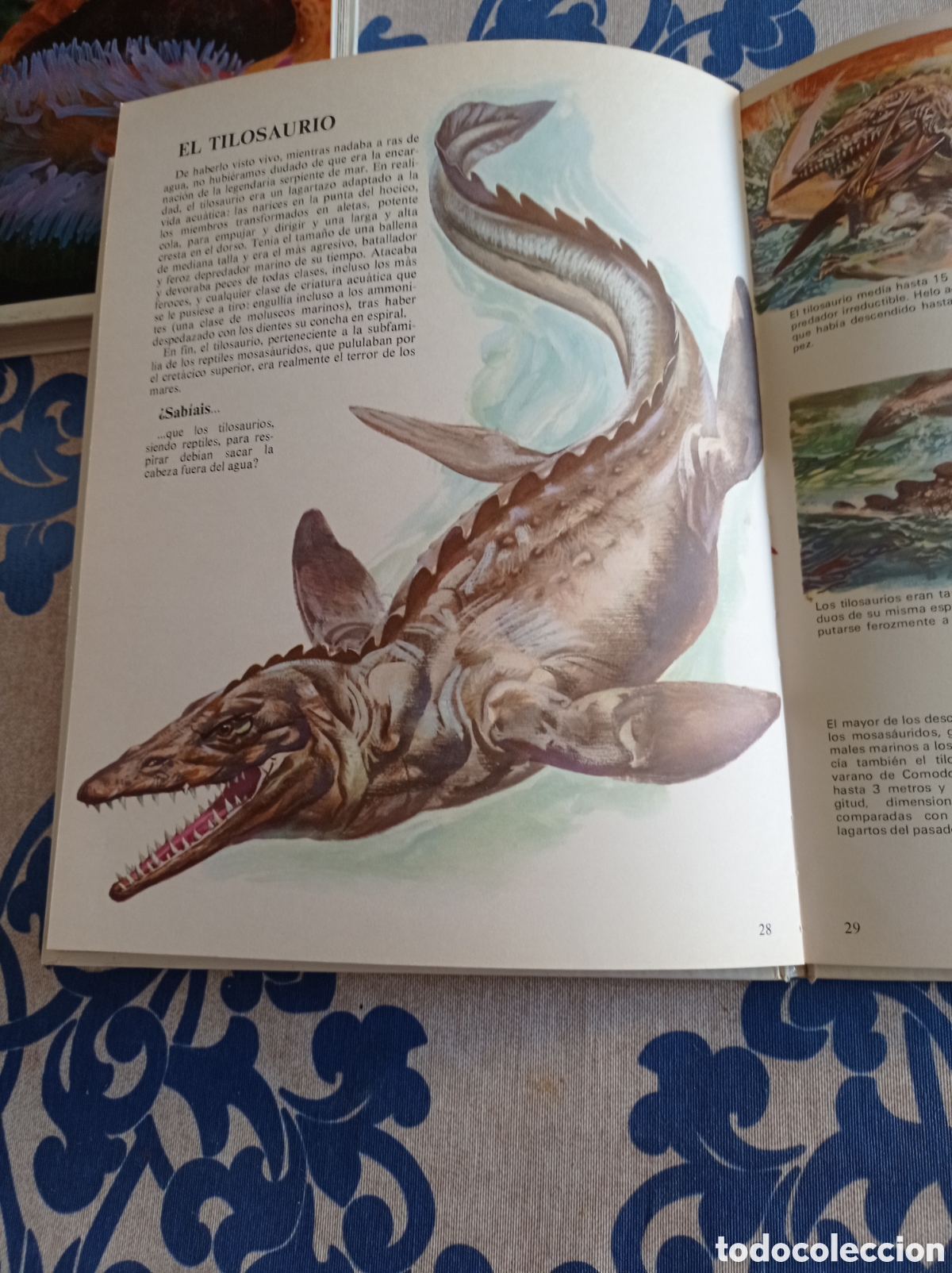 Libros: Vida &iacute;ntima de los animales de la prehistoria. - Foto 4