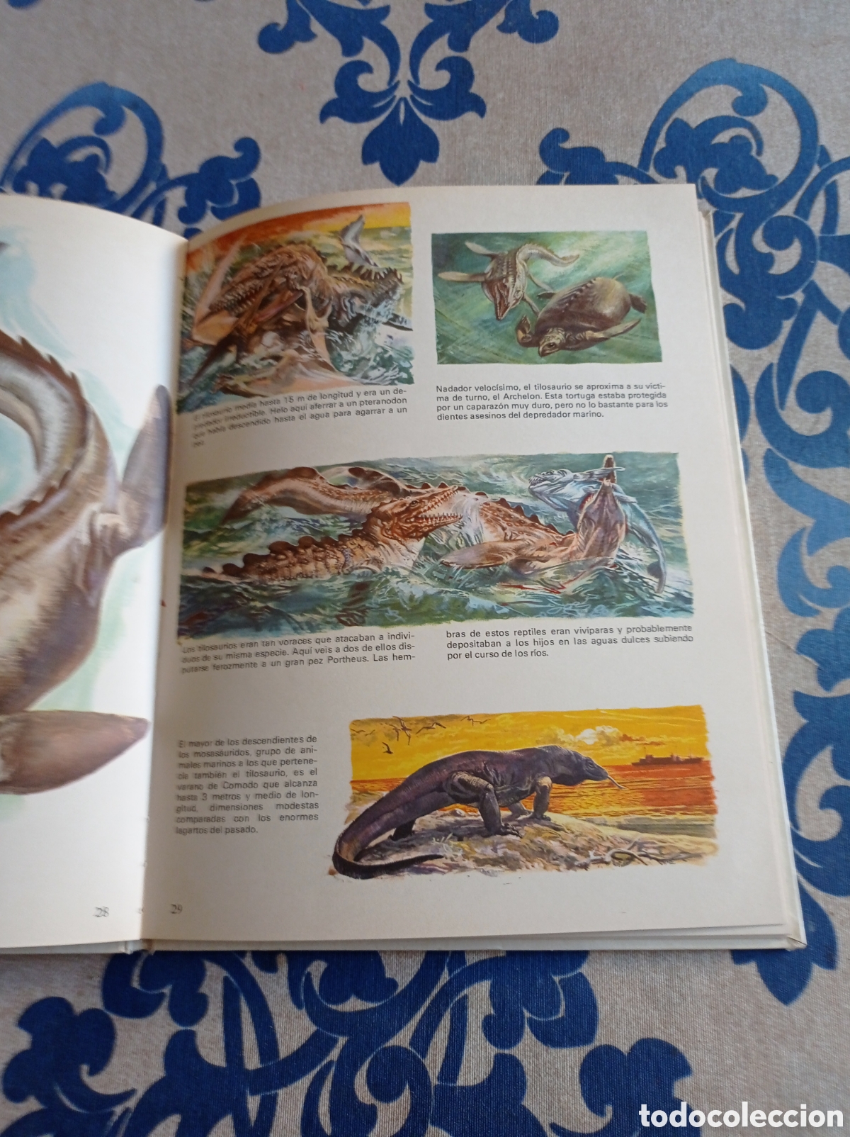 Libros: Vida &iacute;ntima de los animales de la prehistoria. - Foto 5