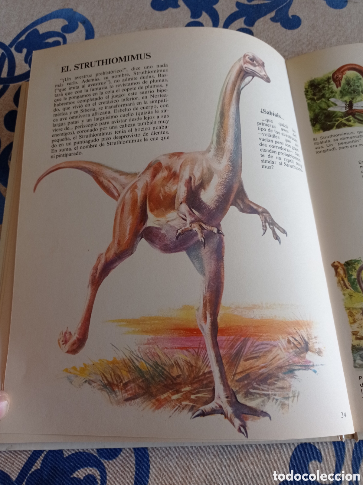 Libros: Vida &iacute;ntima de los animales de la prehistoria. - Foto 6