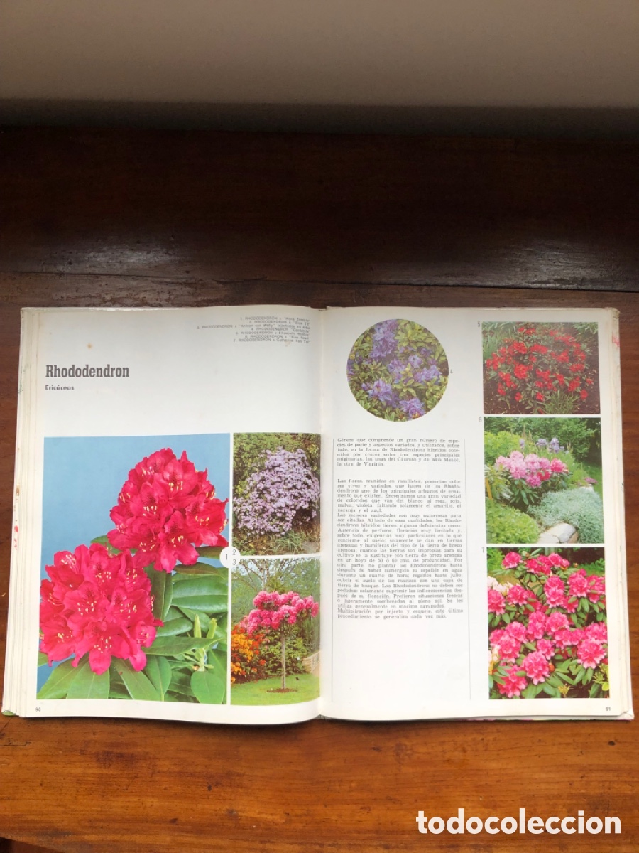 Libros: Libro arbustos de ornamento - Foto 5