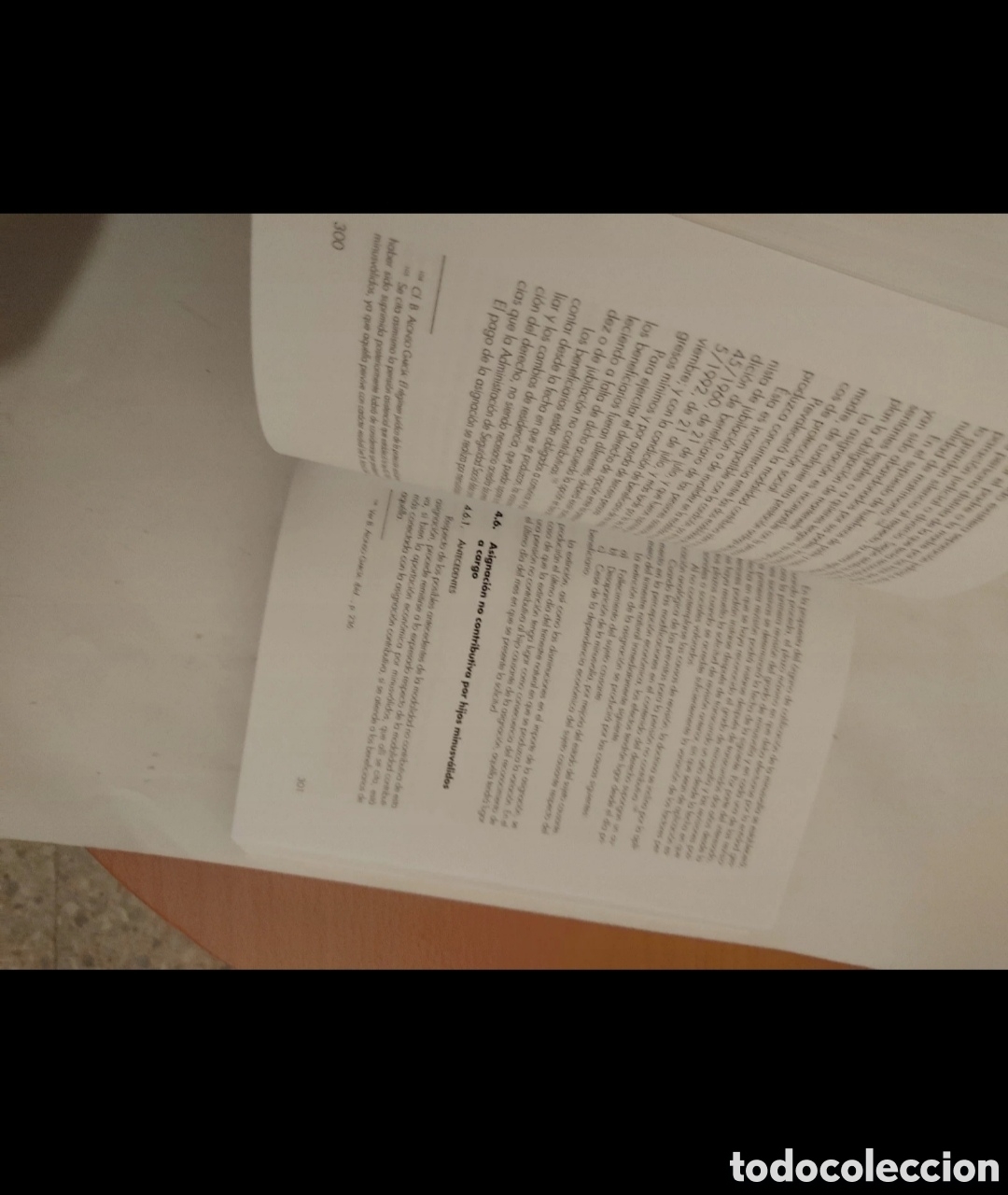Libros: Libro La Protecci&oacute;n Social de la Dependencia - Foto 8