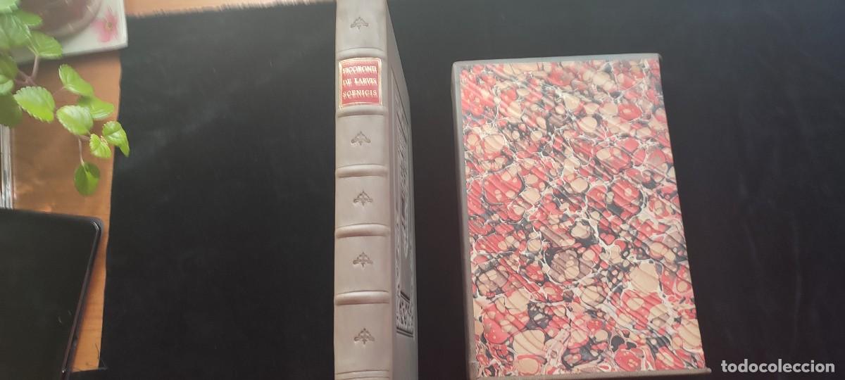 Libros: Facs&iacute;mil del Libro de las mascaras. Roma 1854 Editorial Siloe - Foto 9