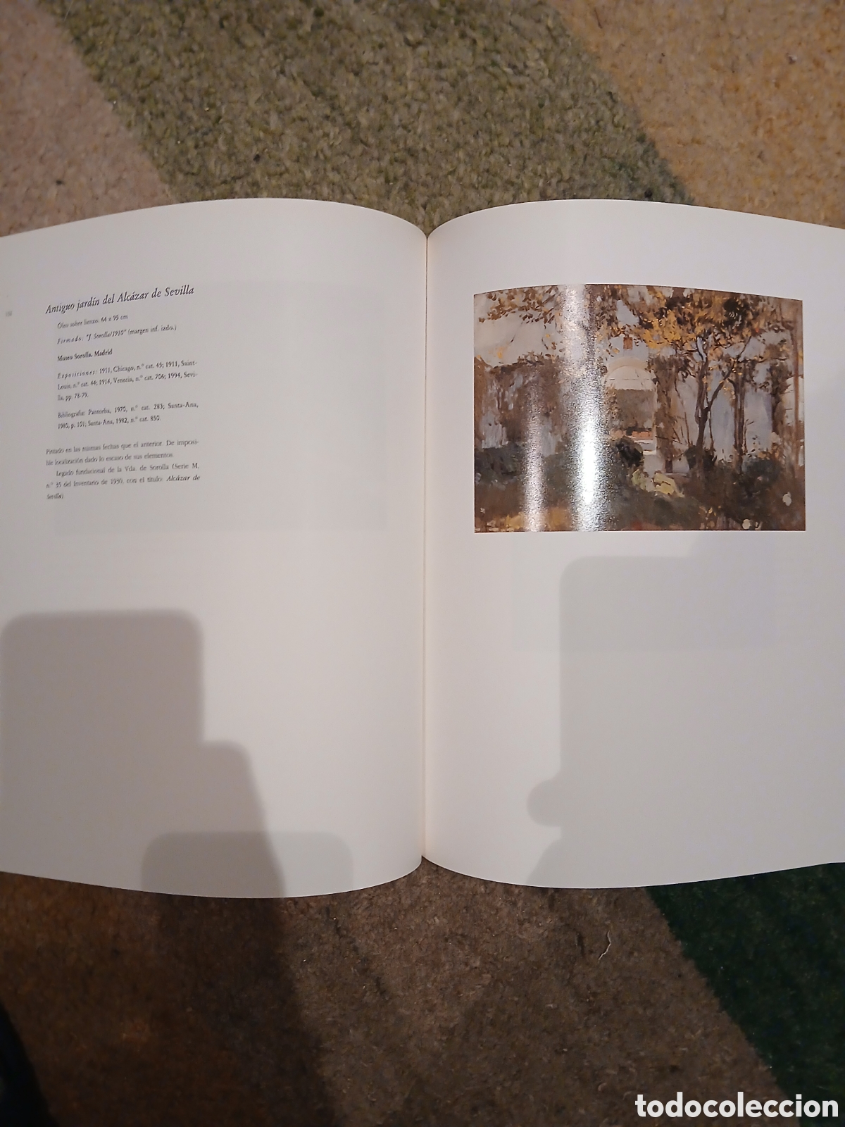 Libros: Libro de arte Joaqu&iacute;n Sorolla - Foto 4