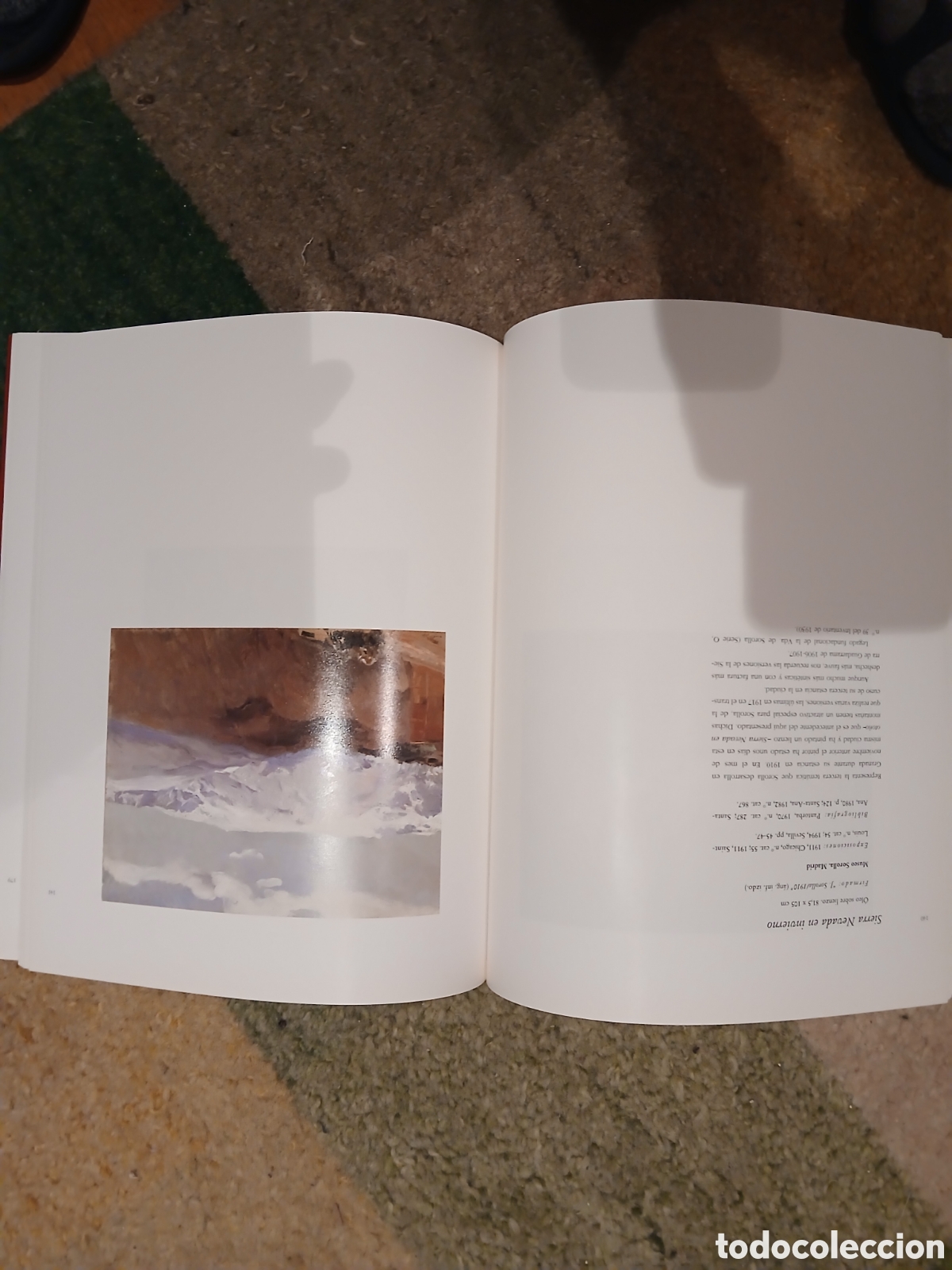 Libros: Libro de arte Joaqu&iacute;n Sorolla - Foto 6