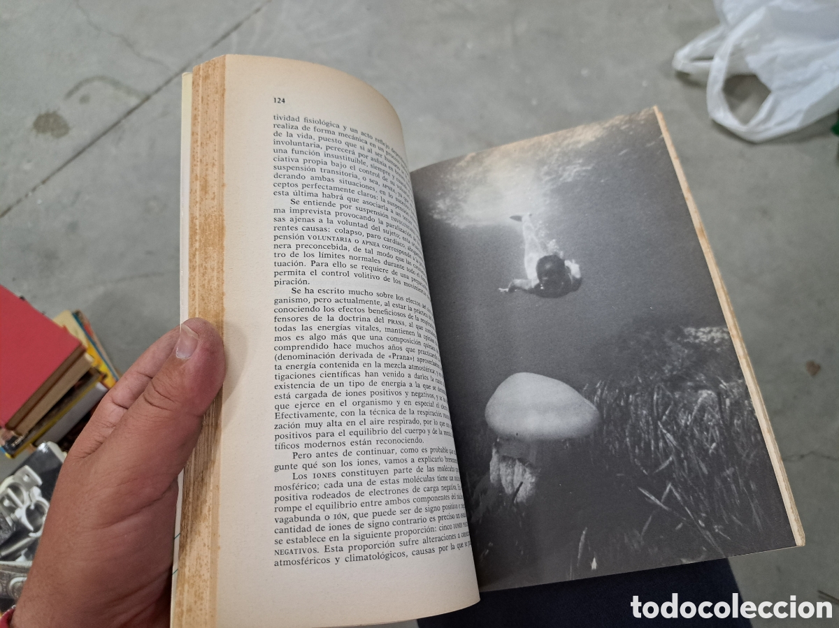 Libros: Jml libro buceo Cota Cer&aacute;mica Rarisimo - Foto 7