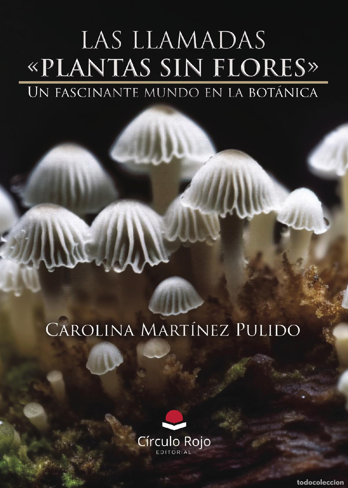 Libros: LAS LLAMADAS &laquo;PLANTAS SIN FLORES&raquo; Un fascinante mundo en la bot&aacute;nica - Carolina Mart&iacute;nez Pulido