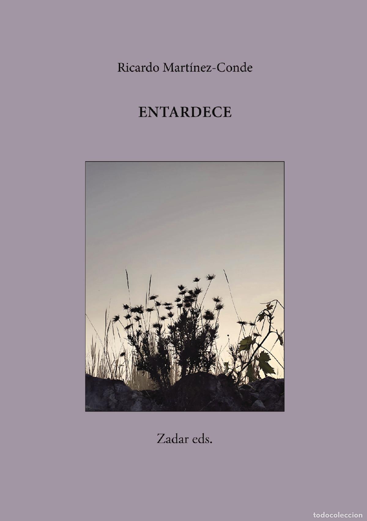 Libros: Entardece - Editorial Zadar . . - Foto 1