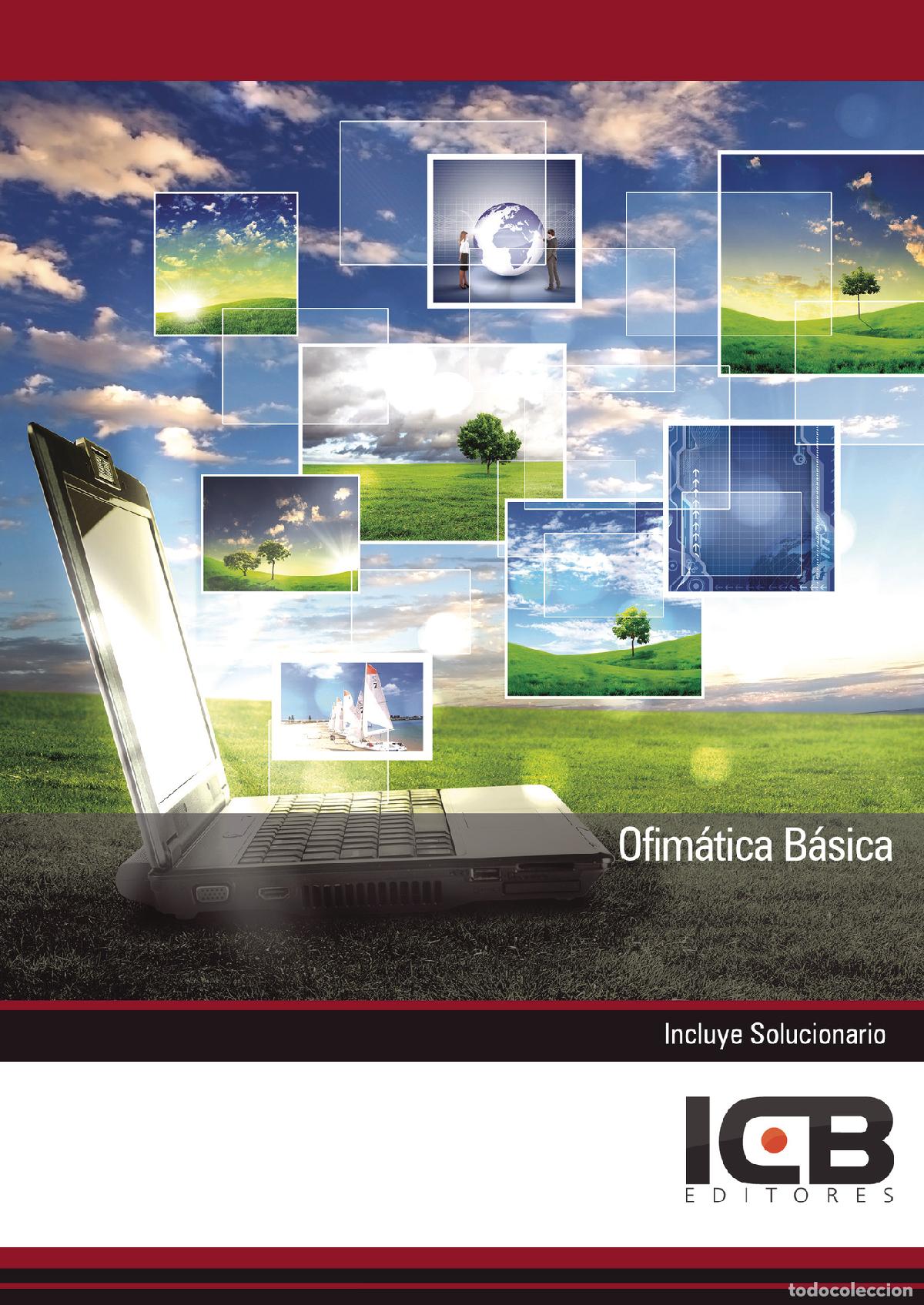 Libros: Ofim&aacute;tica B&aacute;sica - M&ordf; Dolores P&eacute;rez Rodr&iacute;guez - Foto 1