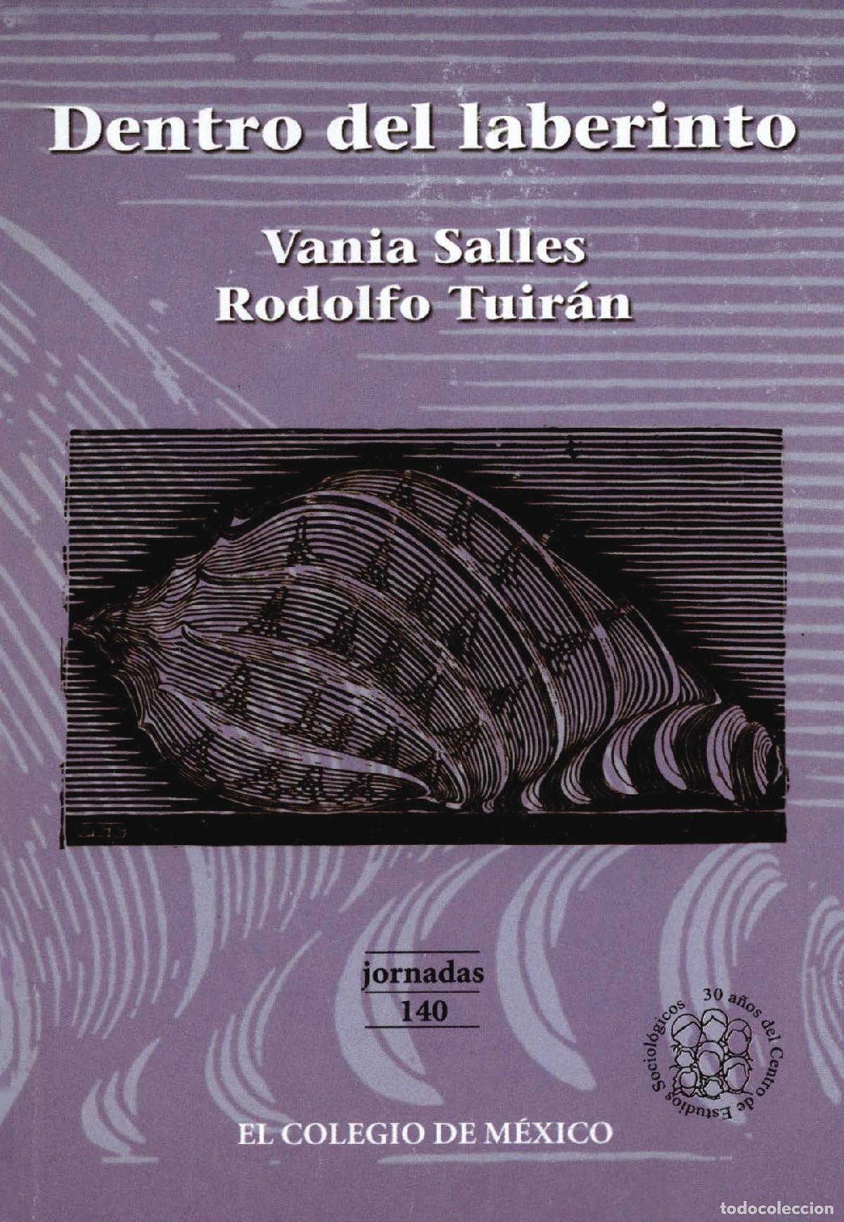 Libros: Dentro del laberinto - Vania Salles - Foto 1