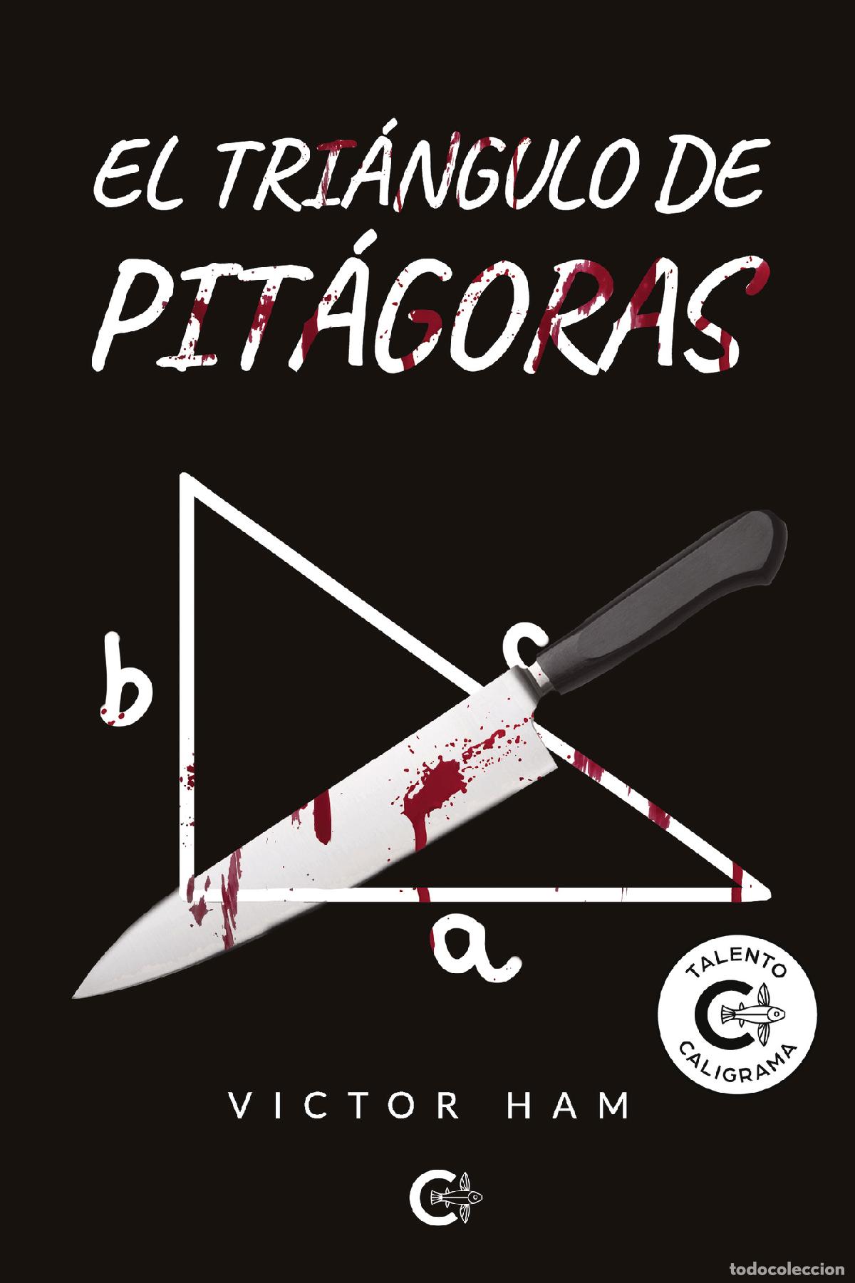 Libros: El tri&aacute;ngulo de Pit&aacute;goras - Victor Ham - Foto 1