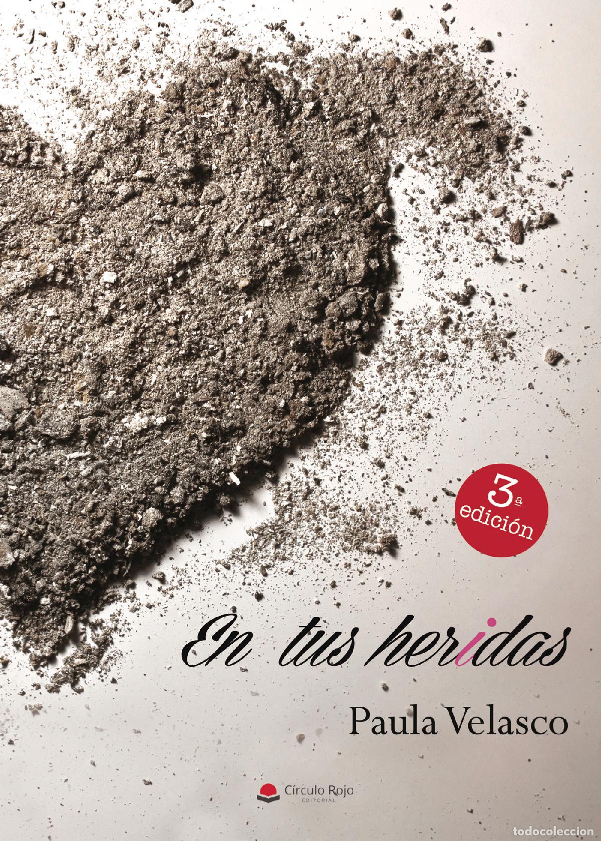 Libri: &Aacute;NGELES GUARDIANES I: En tus heridas - Paula Velasco