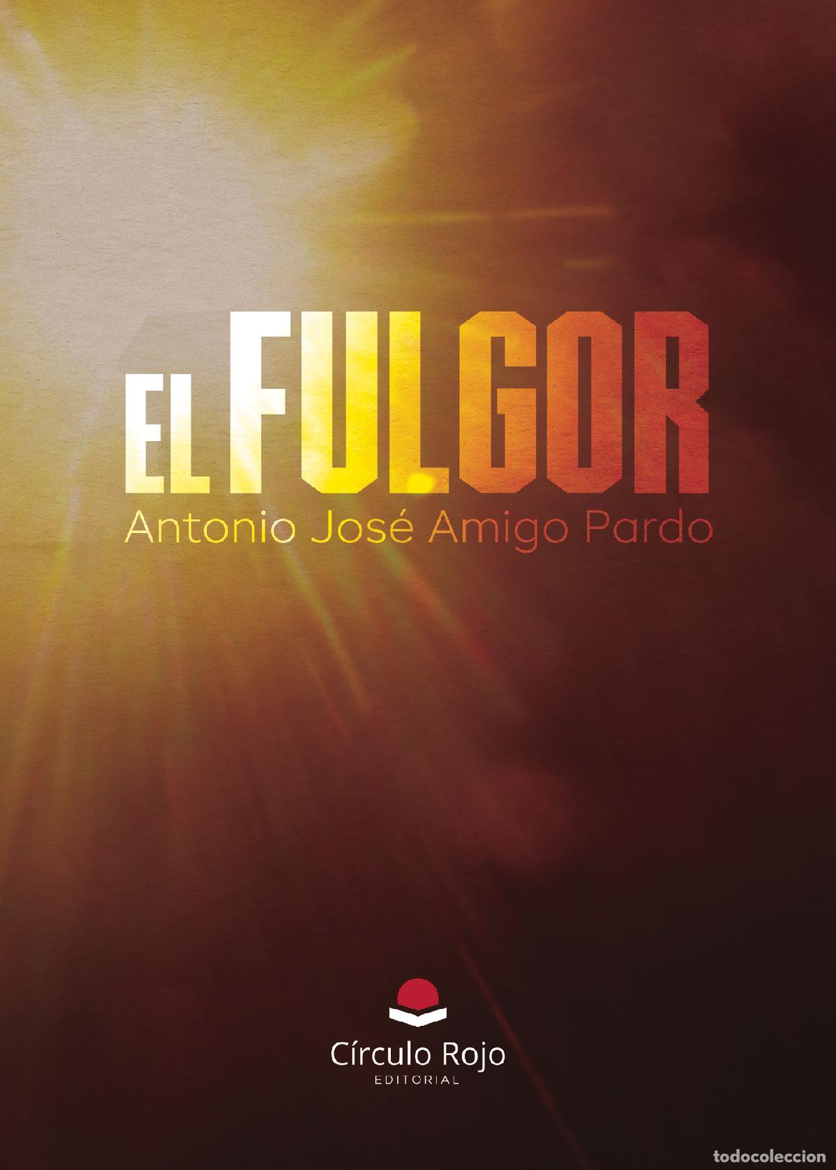 Libros: EL FULGOR - Antonio Jos&eacute; Amigo Pardo - Foto 1