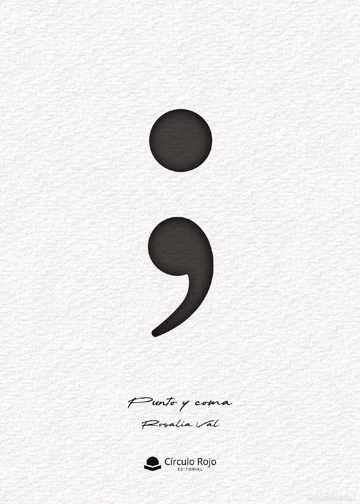 Libros: Punto y coma - Rosal&iacute;a Val - Foto 1