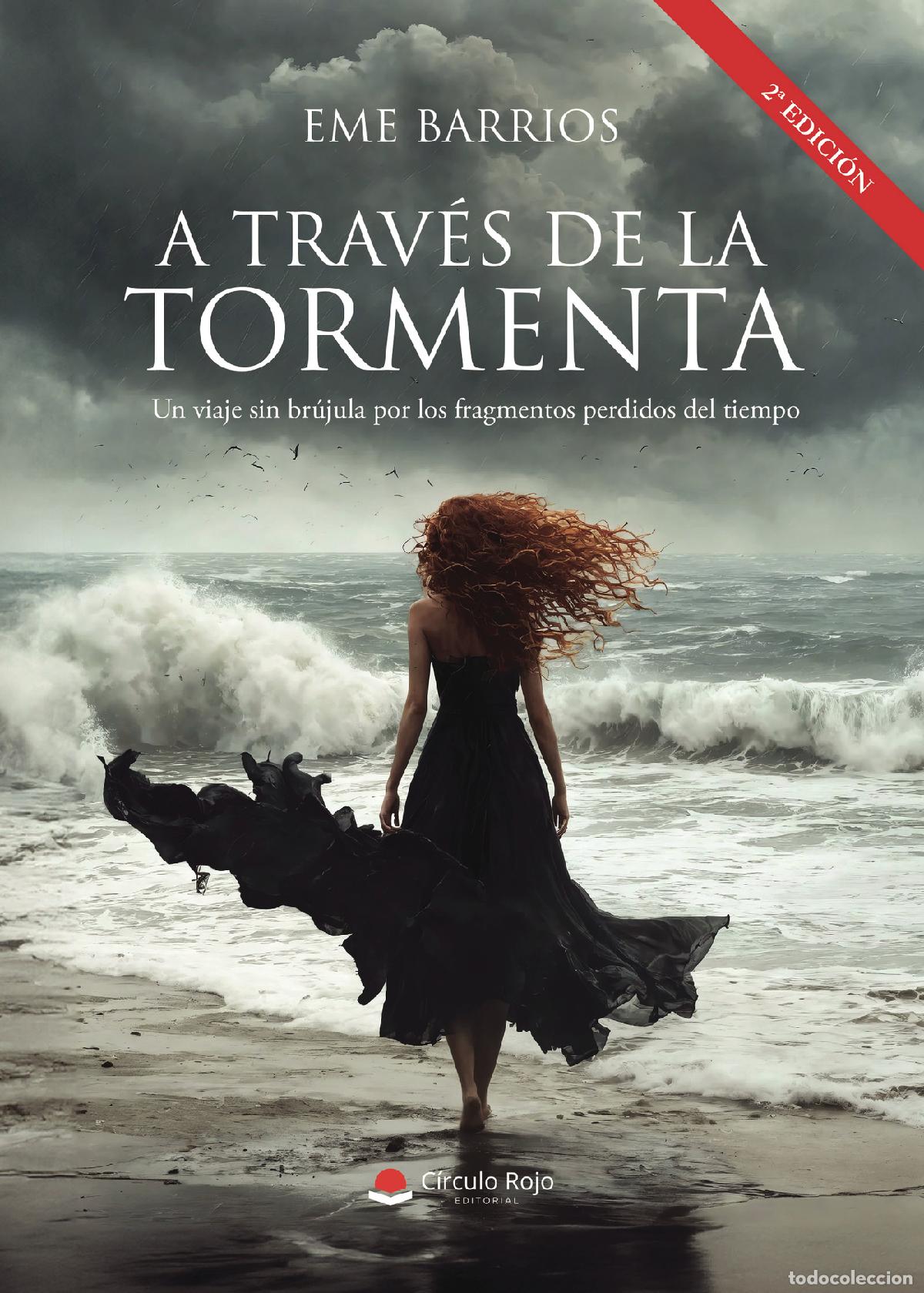 Libros: A trav&eacute;s de la tormenta - Eme Barrios - Foto 1
