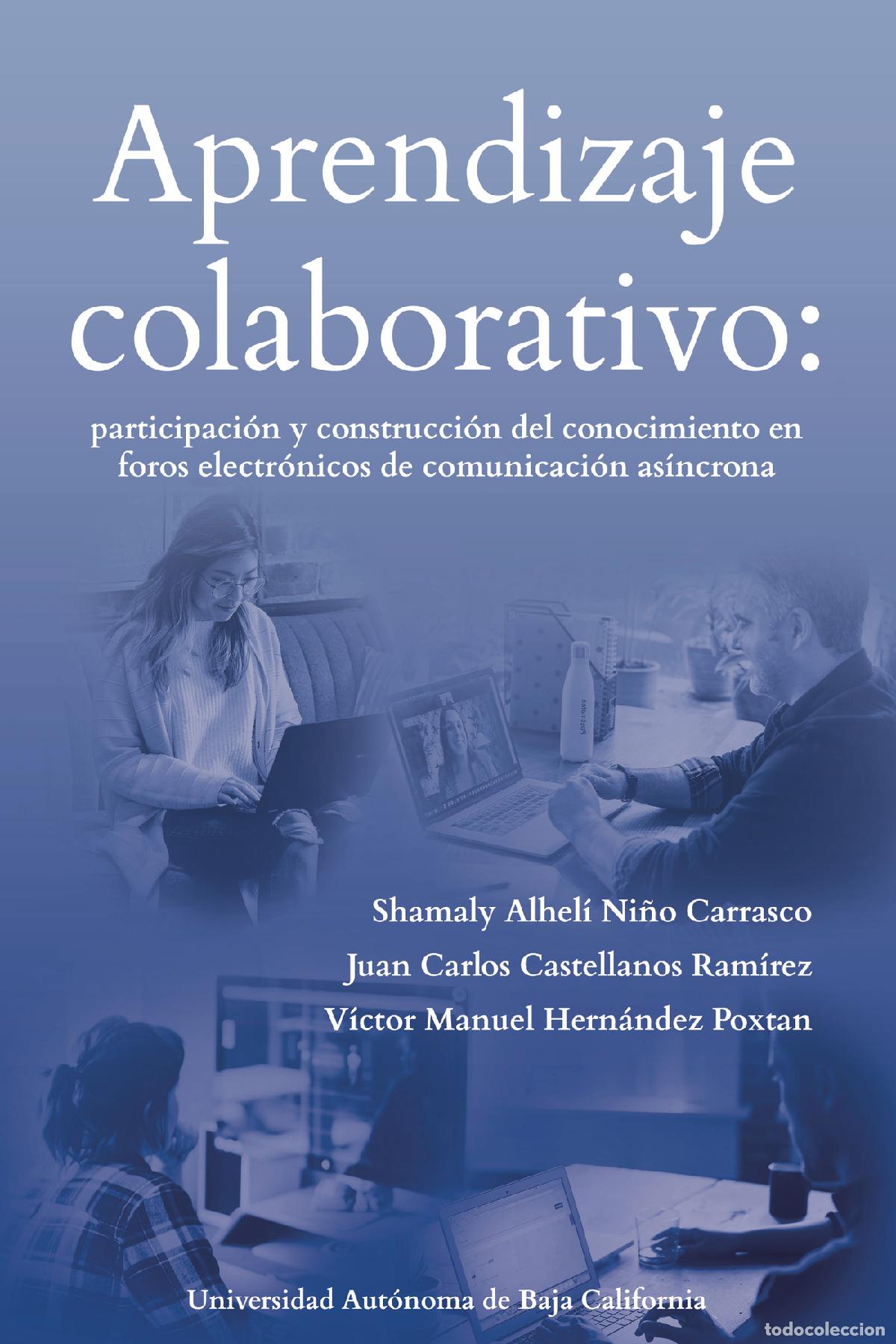 Libri: Aprendizaje colaborativo: participaci&oacute;n y construcci&oacute;n del conocimiento en foros electr&oacute;nicos de co