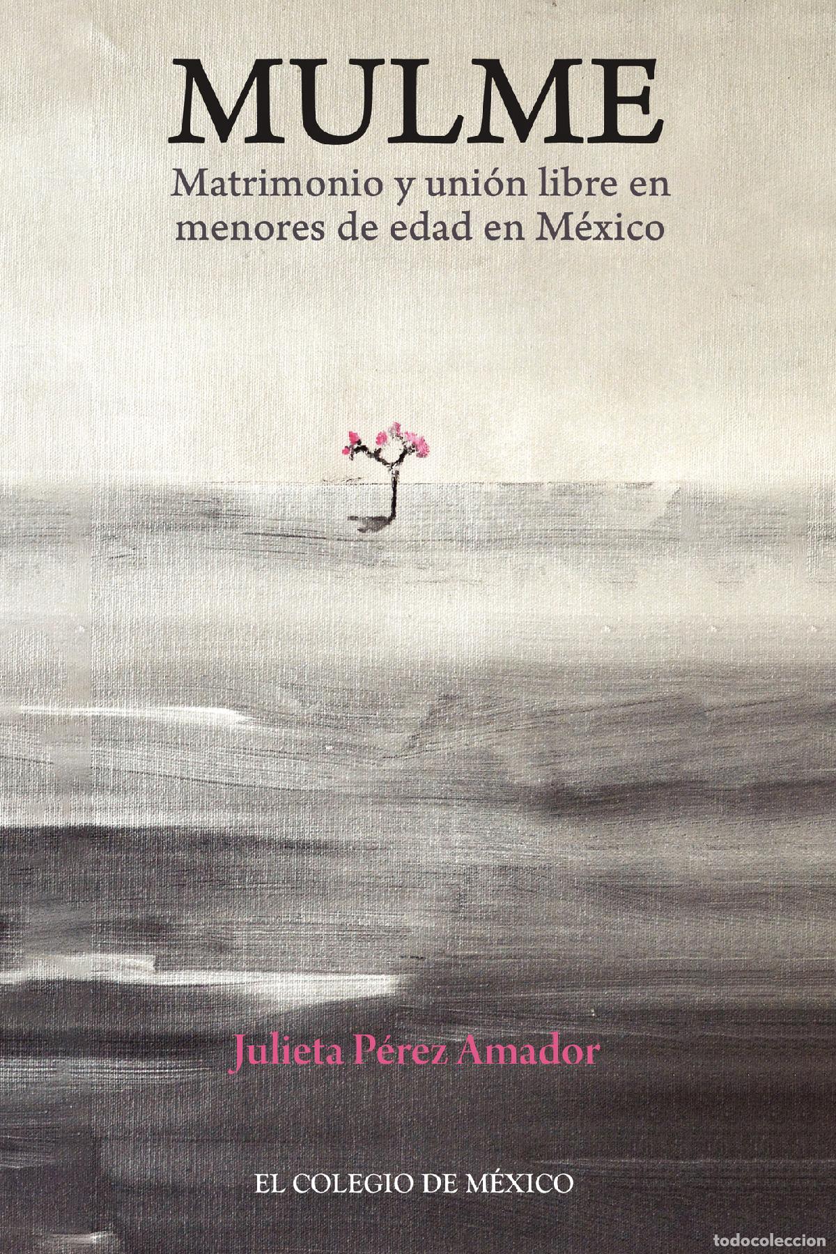 Libri: Mulme. - Matrimonio y uni&oacute;n libre en menores de edad en M&eacute;xico - Julieta P&eacute;rez Amador