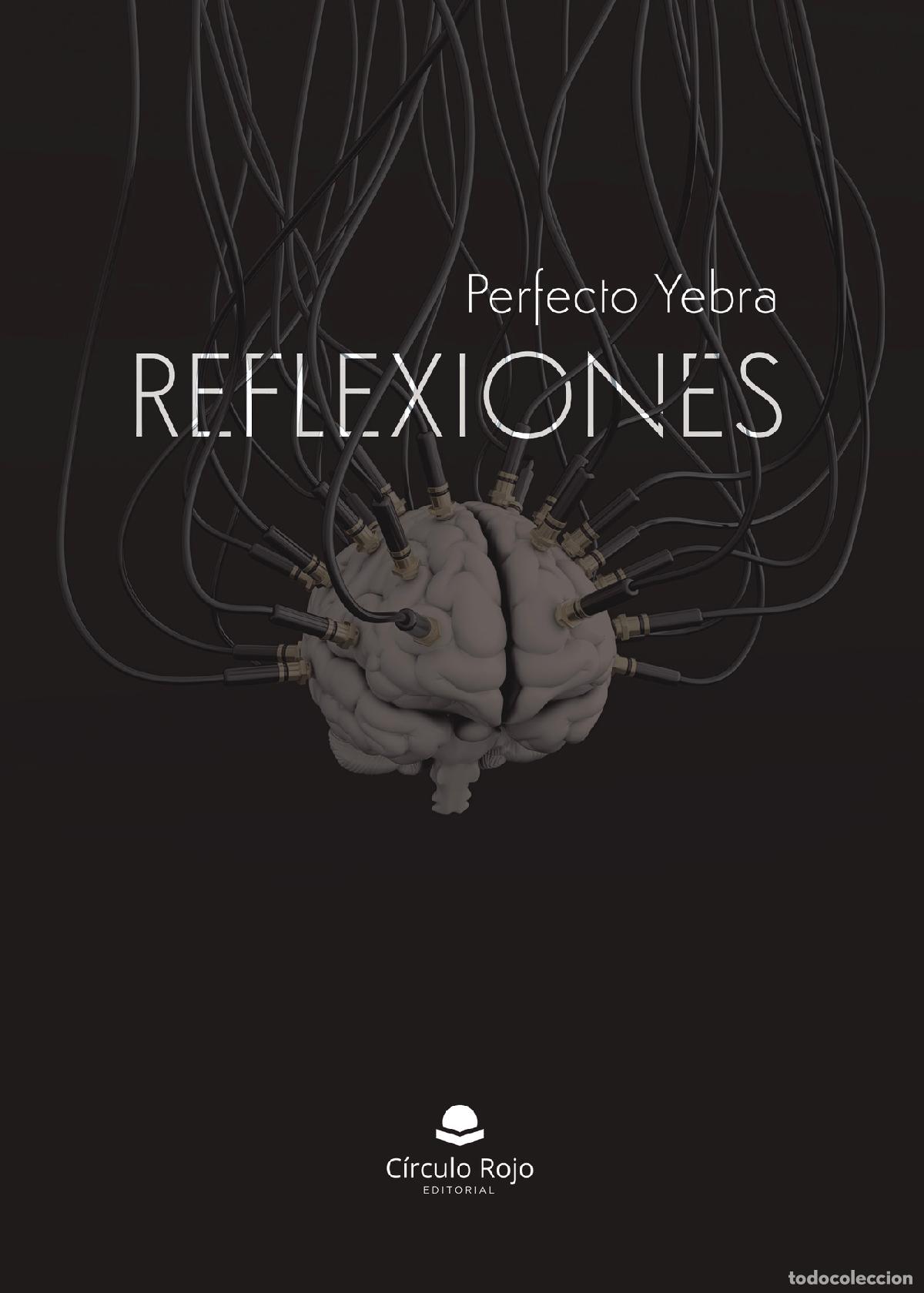 Libros: Reflexiones - Perfecto Yebra - Foto 1