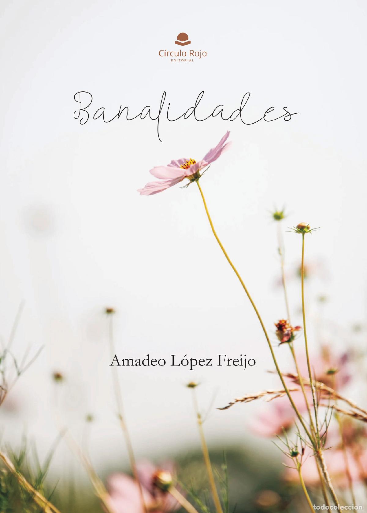 Libros: Banalidades - Amadeo L&oacute;pez Freijo - Foto 1