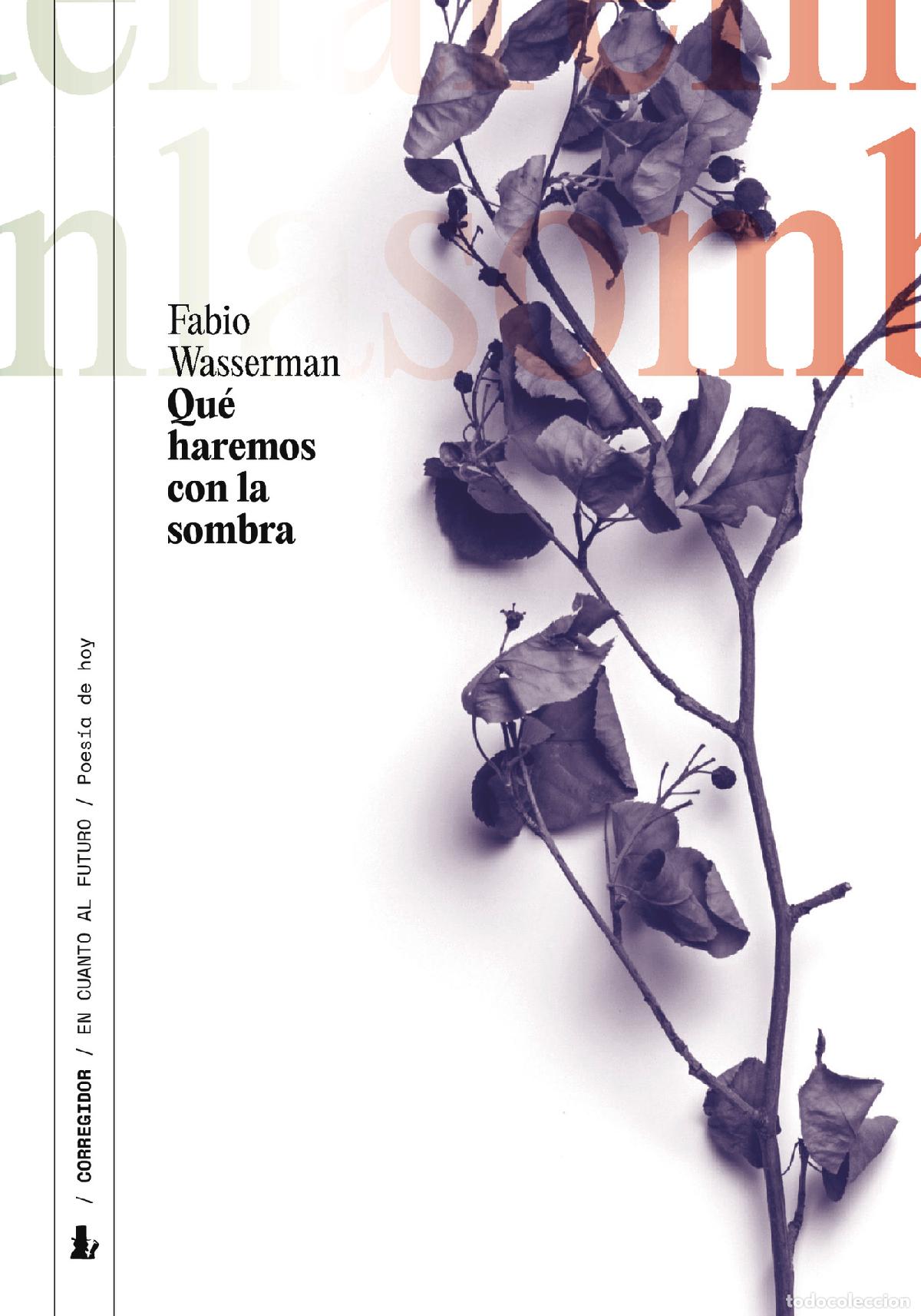 Libri: QUE HAREMOS CON LA SOMBRA - Fabio Wasserman