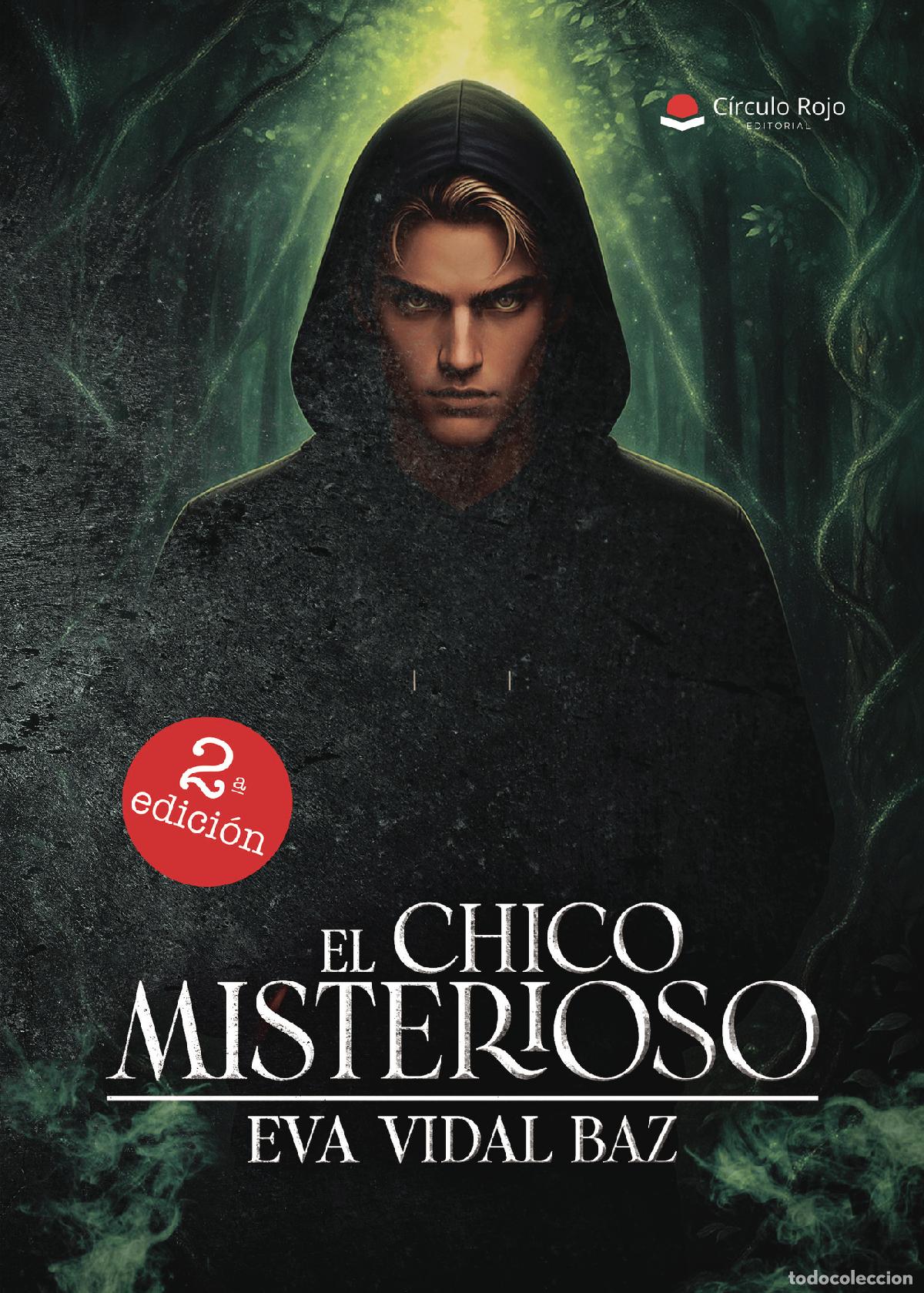 Libros: El chico misterioso - Eva Vidal Baz - Foto 1