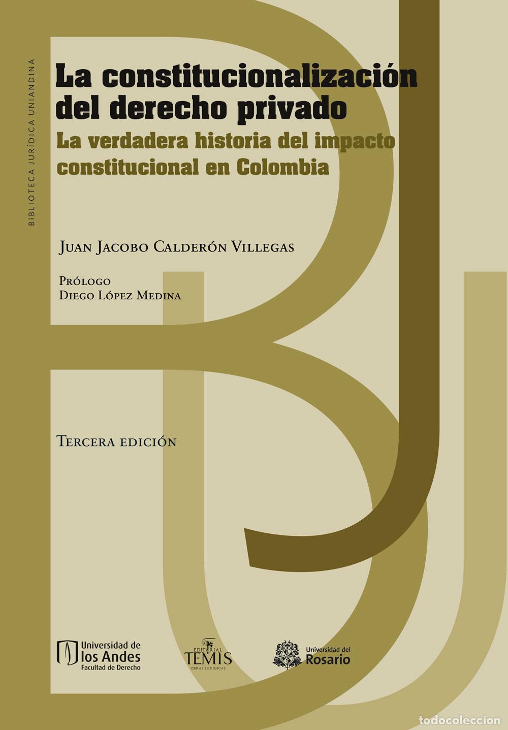 books: La constitucionalizaci&oacute;n del derecho privado - La verdadera historia del impacto constitucional en C