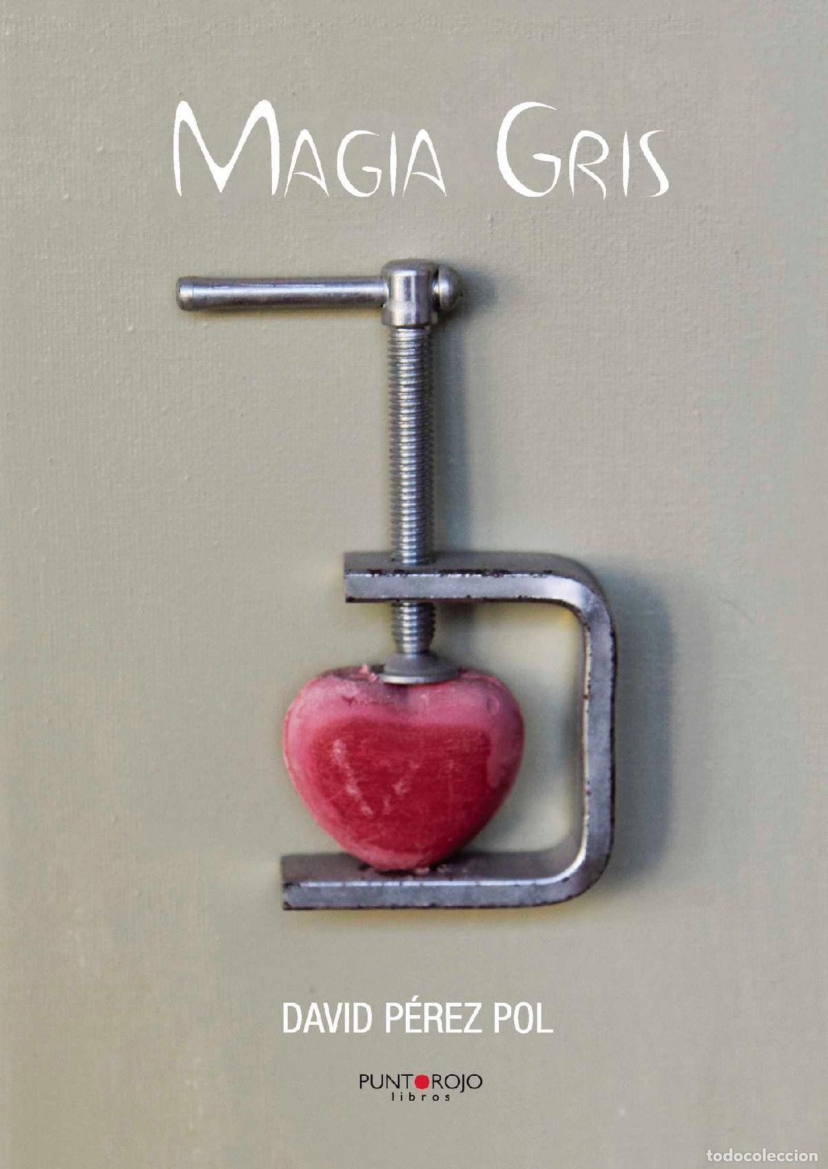Libros: Magia Gris - David P&eacute;rez Pol - Foto 1