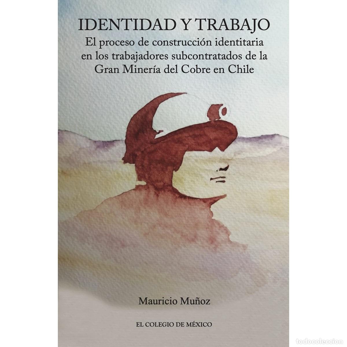 books: Identidad y trabajo. - El proceso de construcci&oacute;n identitaria en los trabajadores subcontratados de