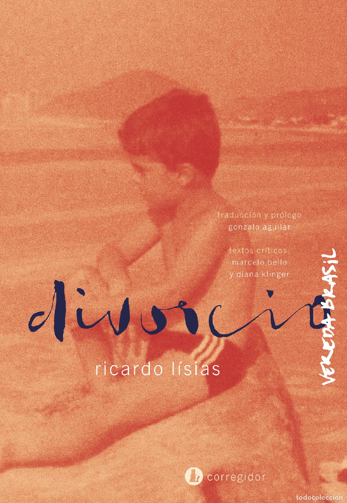 Libros: DIVORCIO - Ricardo Lisias - Foto 1