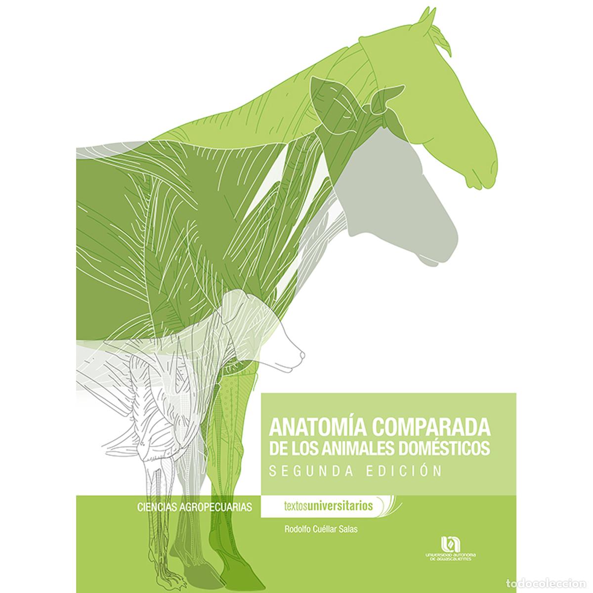 Libri: Anatom&iacute;a comparada de los animales dom&eacute;sticos - Rodolfo Cu&eacute;llar Salas