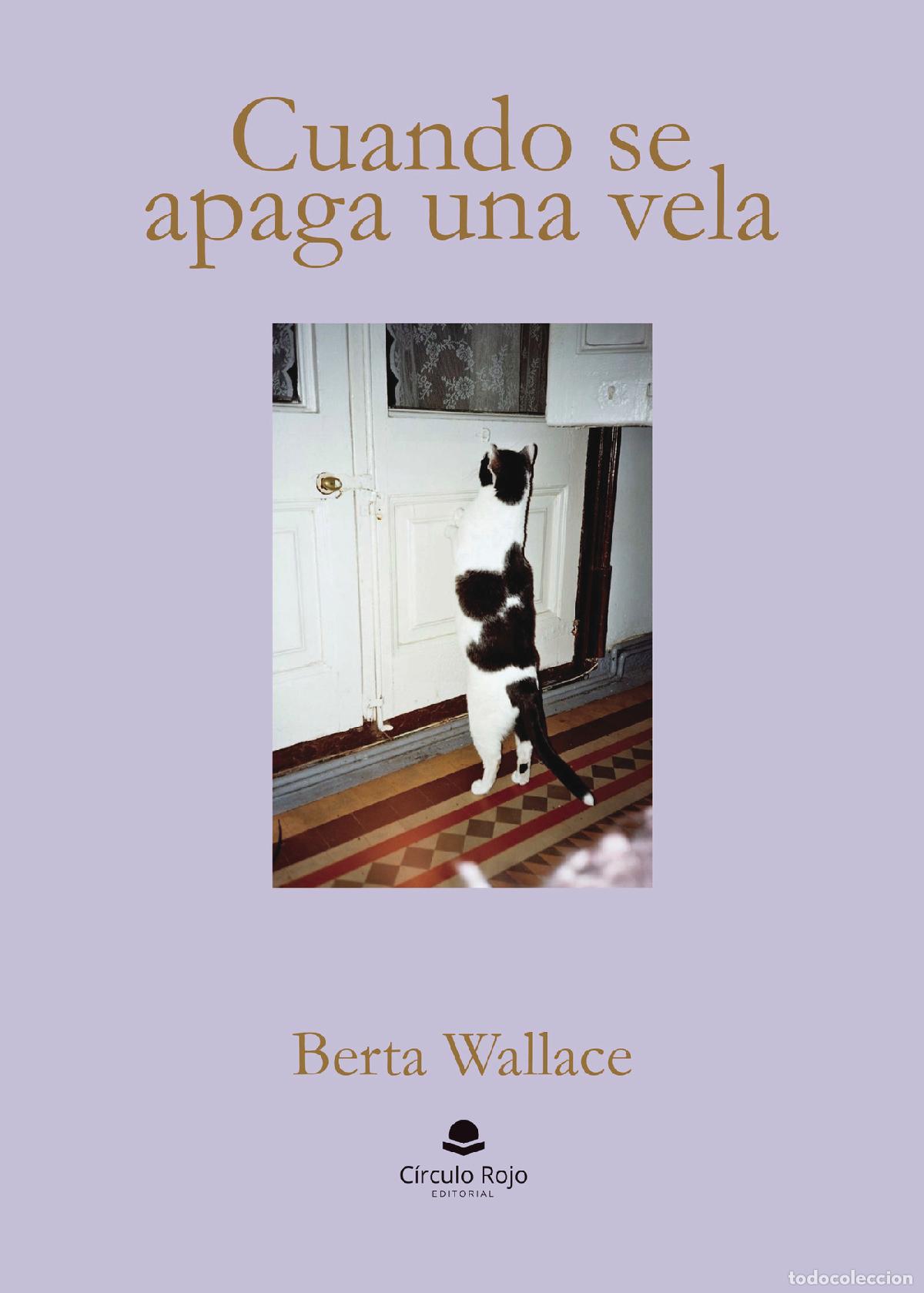 Libros: Cuando se apaga una vela - Berta Wallace - Foto 1