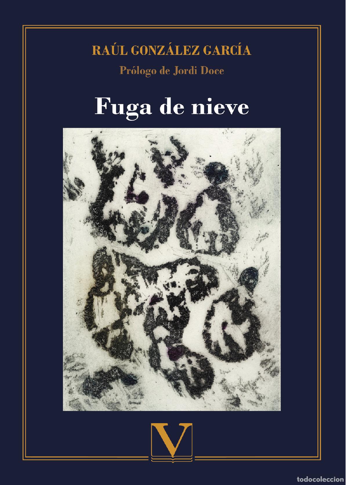 Libros: Fuga de nieve - Ra&uacute;l Gonz&aacute;lez Garc&iacute;a - Foto 1