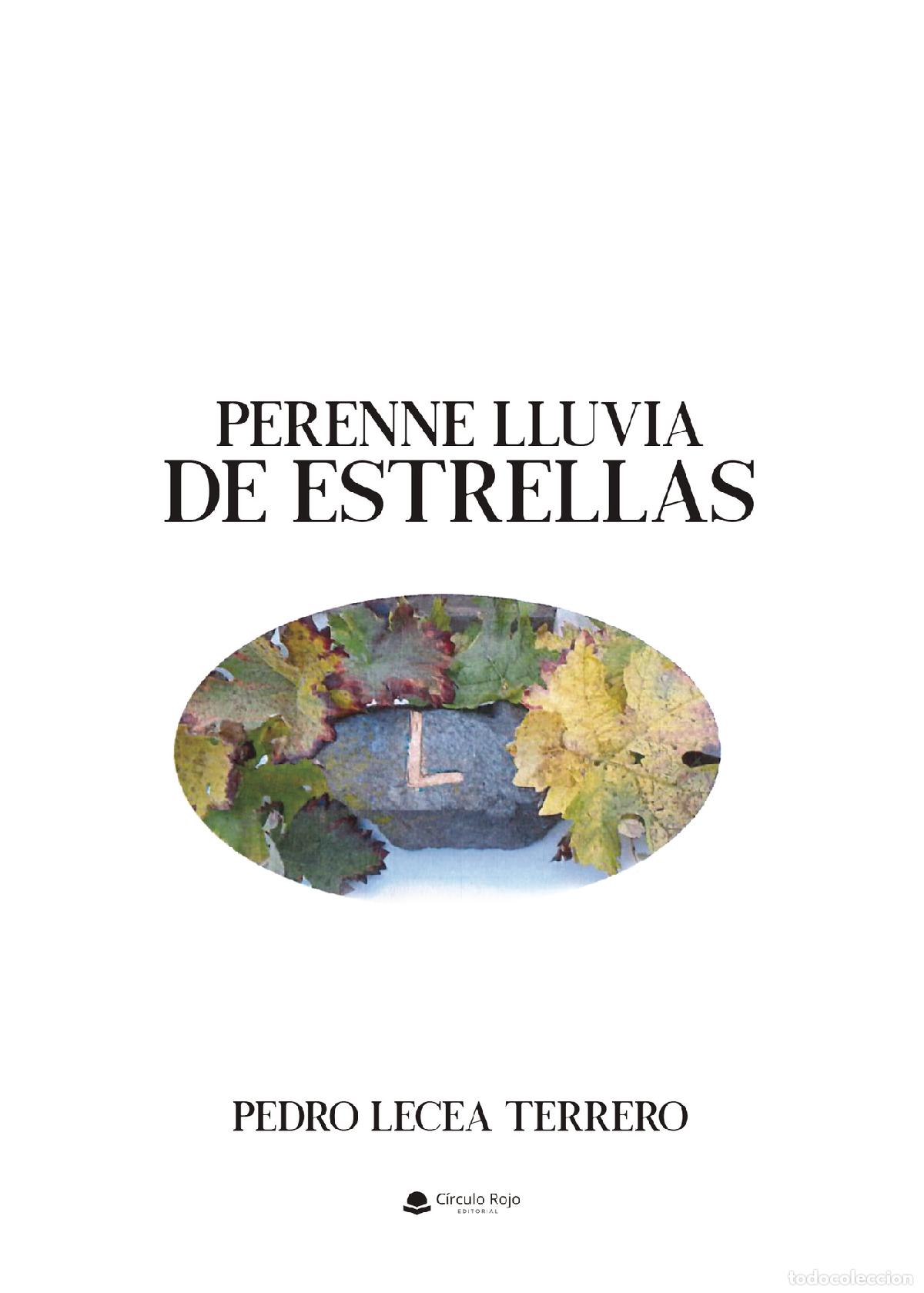books: Perenne lluvia de estrellas - Pedro Lecea Terrero