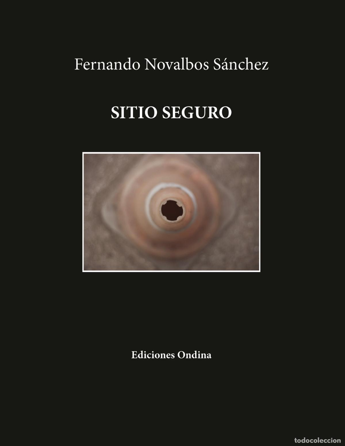 books: Sitio Seguro - Fernando Novalbos S&aacute;nchez