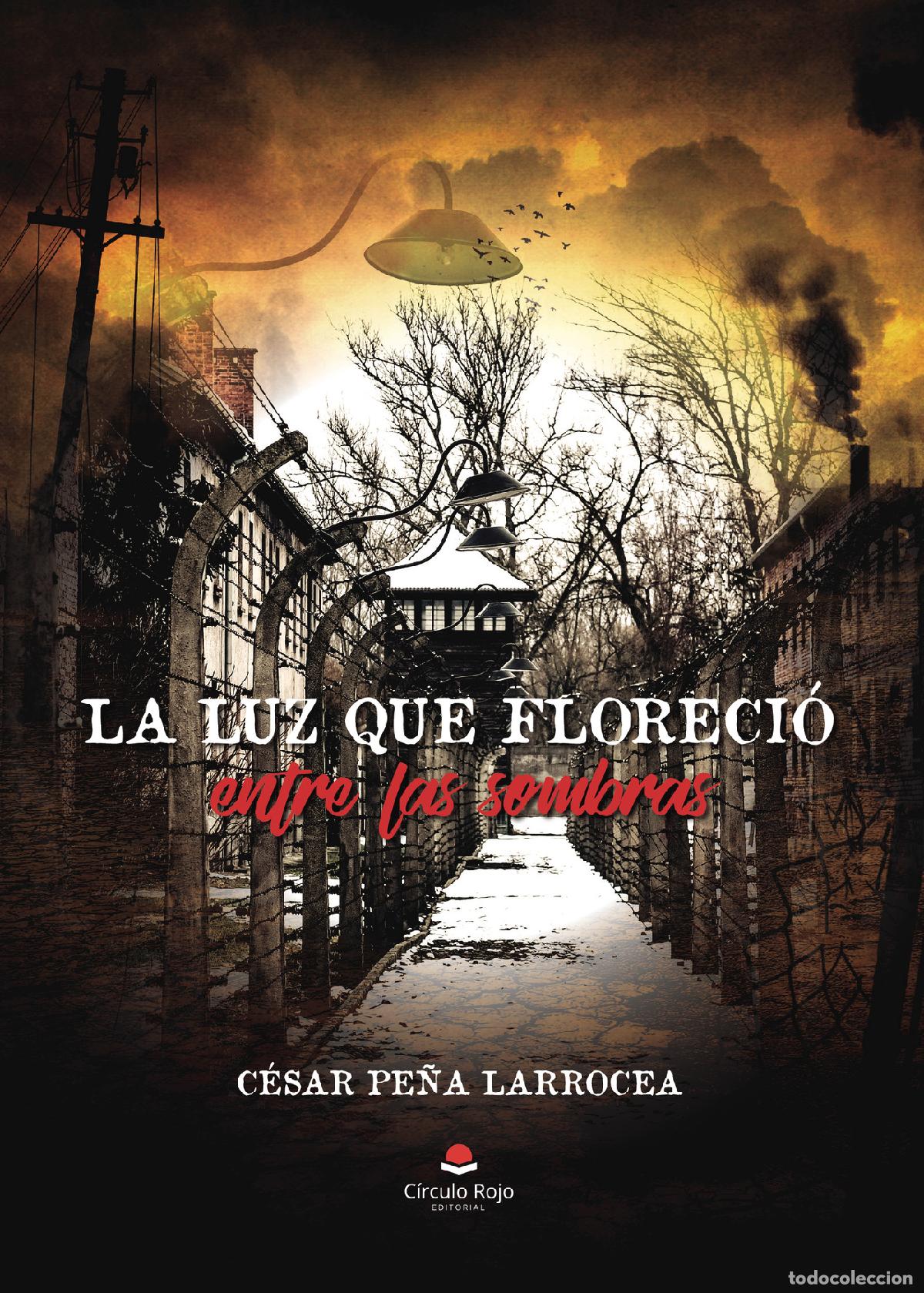books: La luz que floreci&oacute; entre las sombras - C&eacute;sar Pe&ntilde;a Larrocea