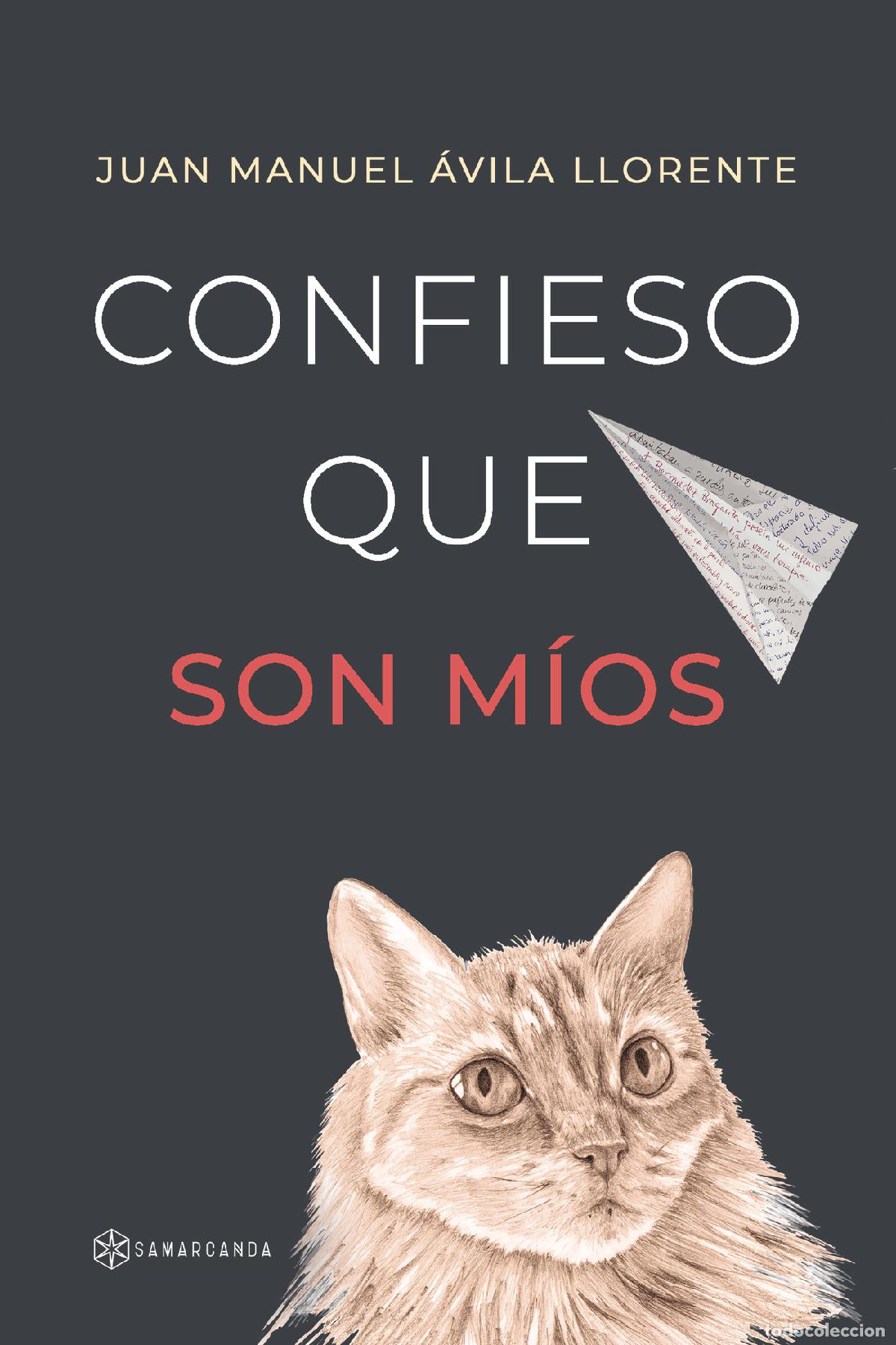 Livres: Confieso que son m&iacute;os - Juan Manuel &Aacute;vila Llorente