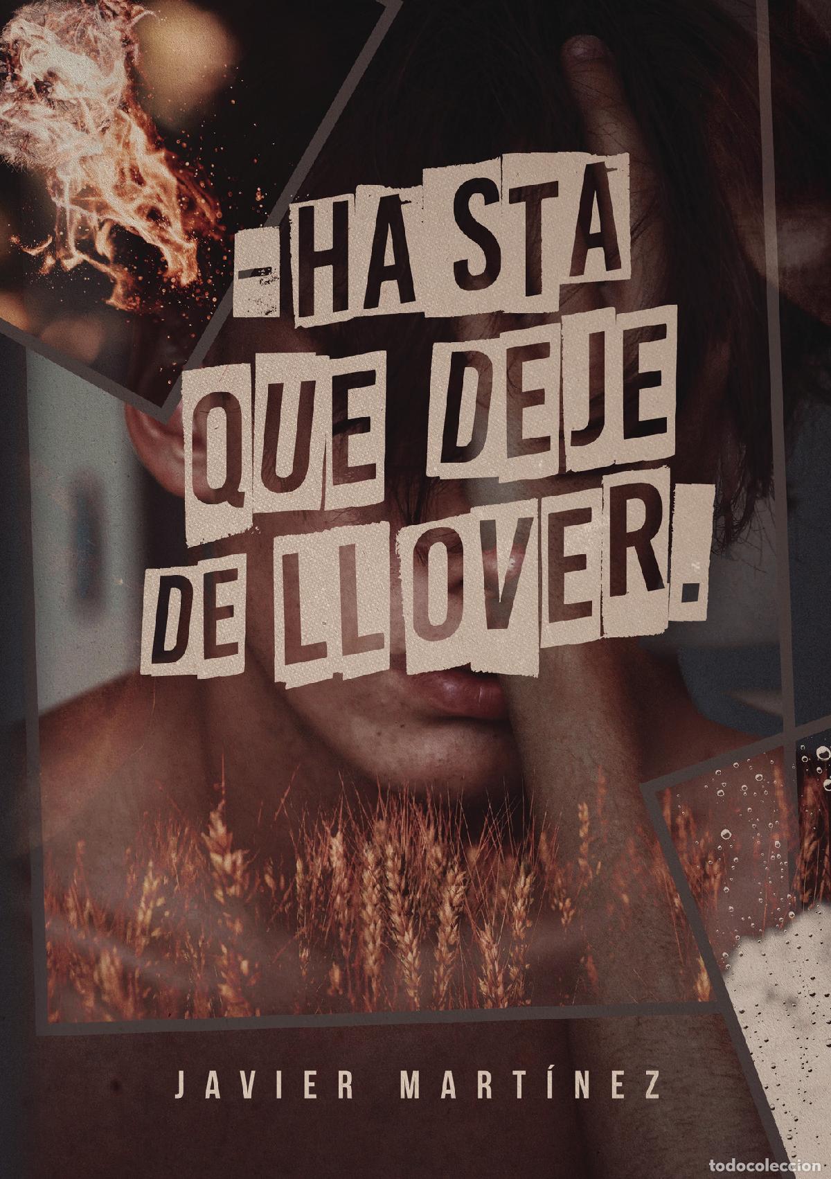 Libros: Hasta que deje de llover - Javier Martinez - Foto 1