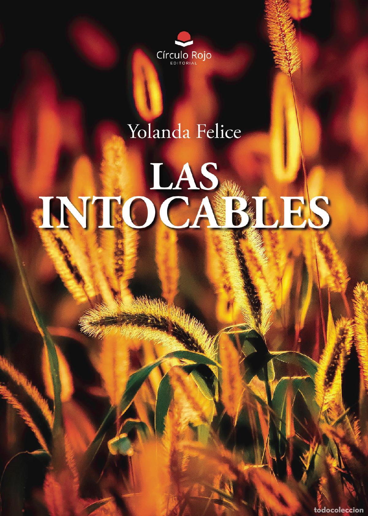 Libros: Las intocables - Yolanda Felice - Foto 1
