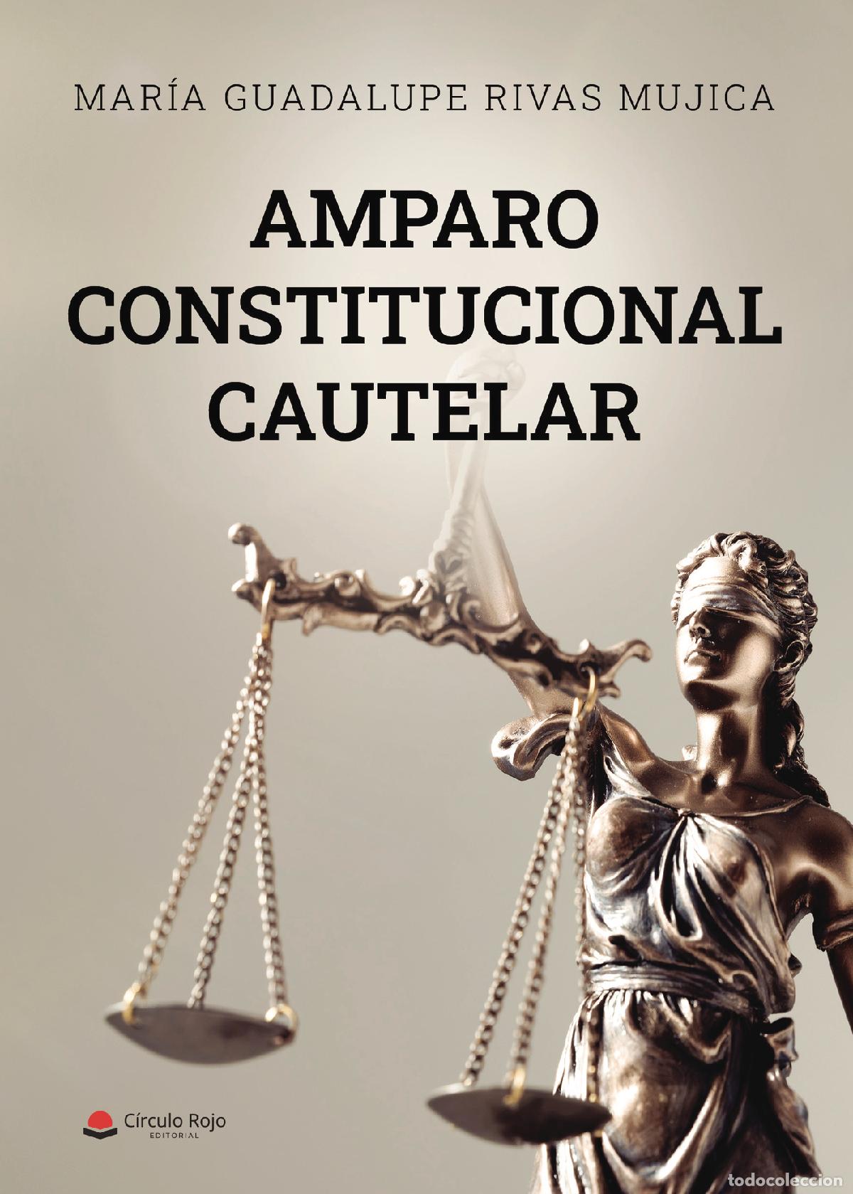 books: Amparo Constitucional Cautelar en la Jurisdicci&oacute;n Contencioso Administrativa - Mar&iacute;a Guadalupe Rivas