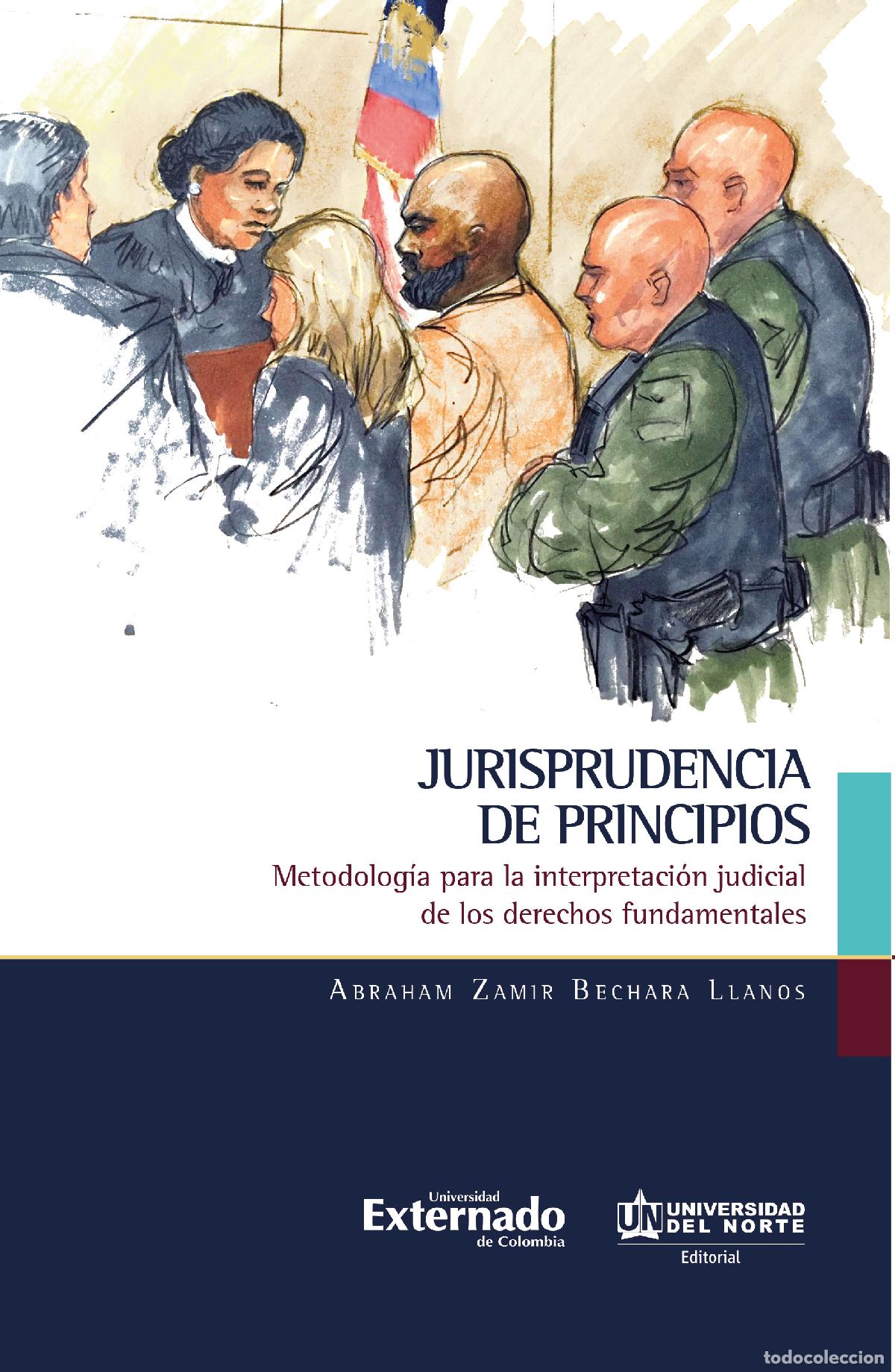 Libri: Jurisprudencia de principios - Metodolog&iacute;a para la interpretaci&oacute;n judicial de los derechos fundament
