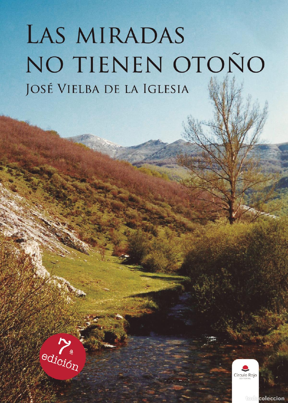 Libros: Las miradas no tienen oto&ntilde;o - Jos&eacute; Vielba de la Iglesia