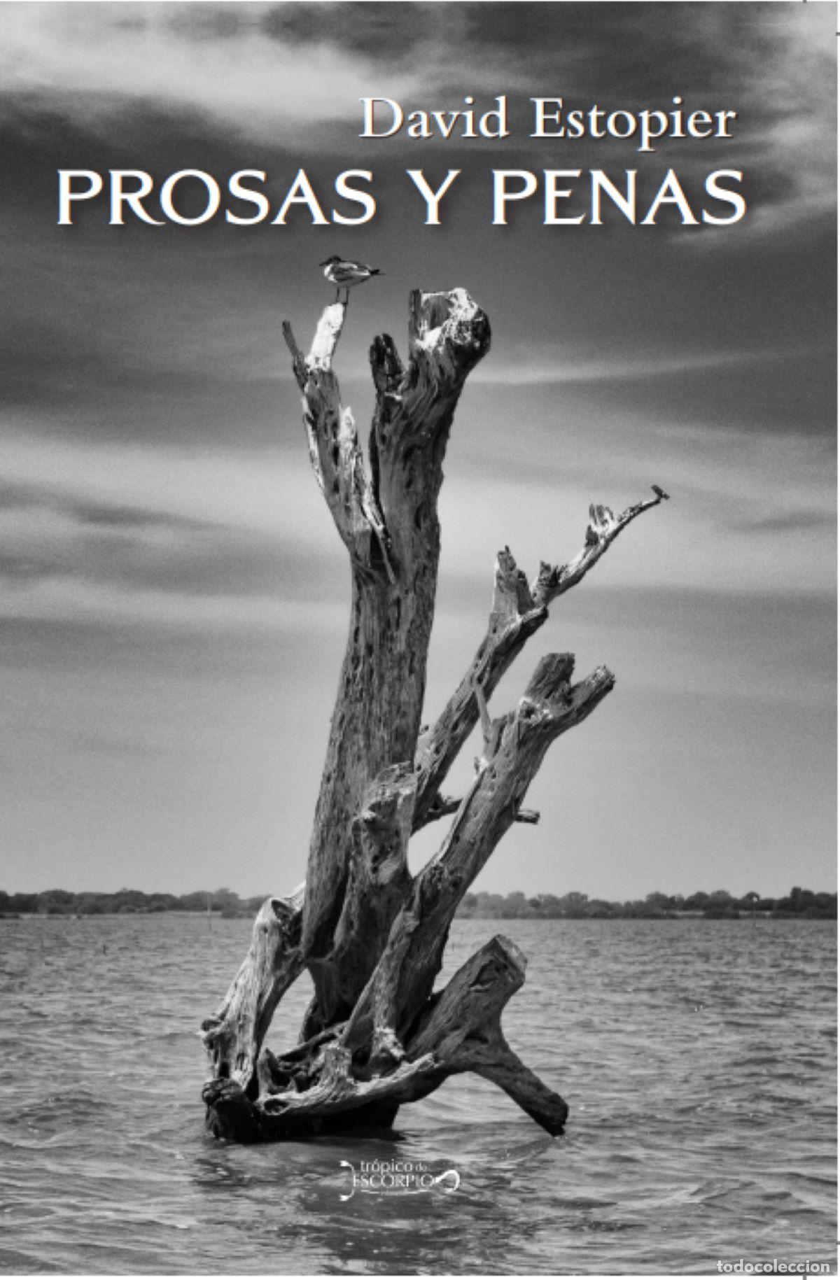 Libros: Prosas y penas - David Estopier - Foto 1