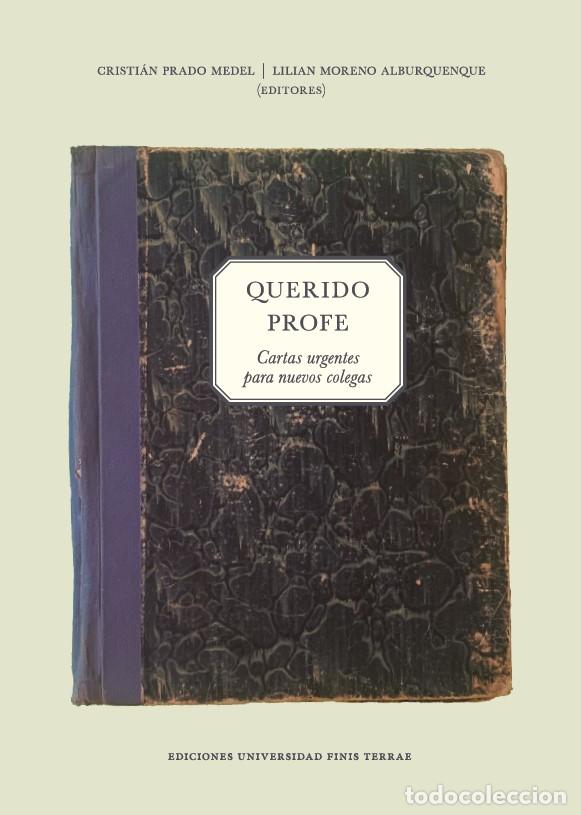 Libros: Querido profe - Cartas urgentes para nuevos colegas - Cristi&aacute;n Prado Medel