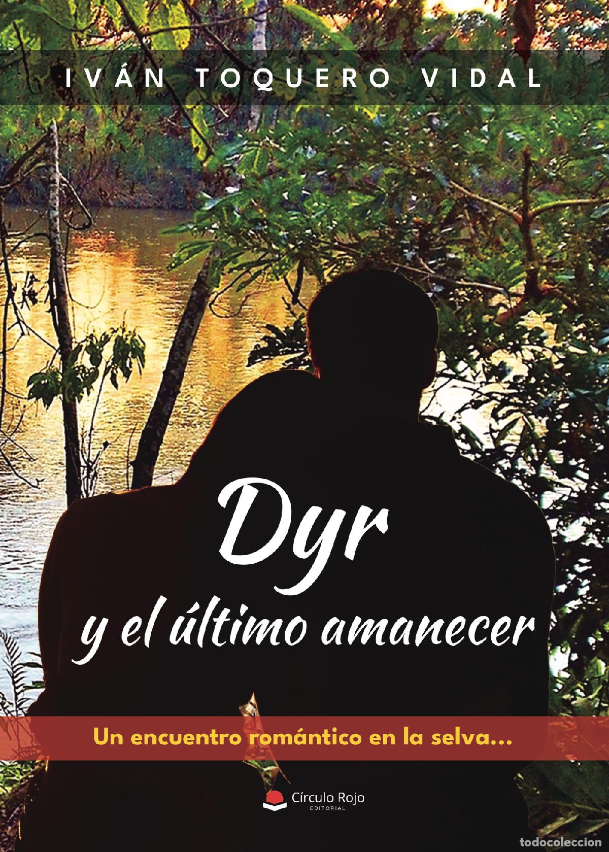 books: Dyr y el &uacute;ltimo amanecer - Iv&aacute;n Toquero Vidal