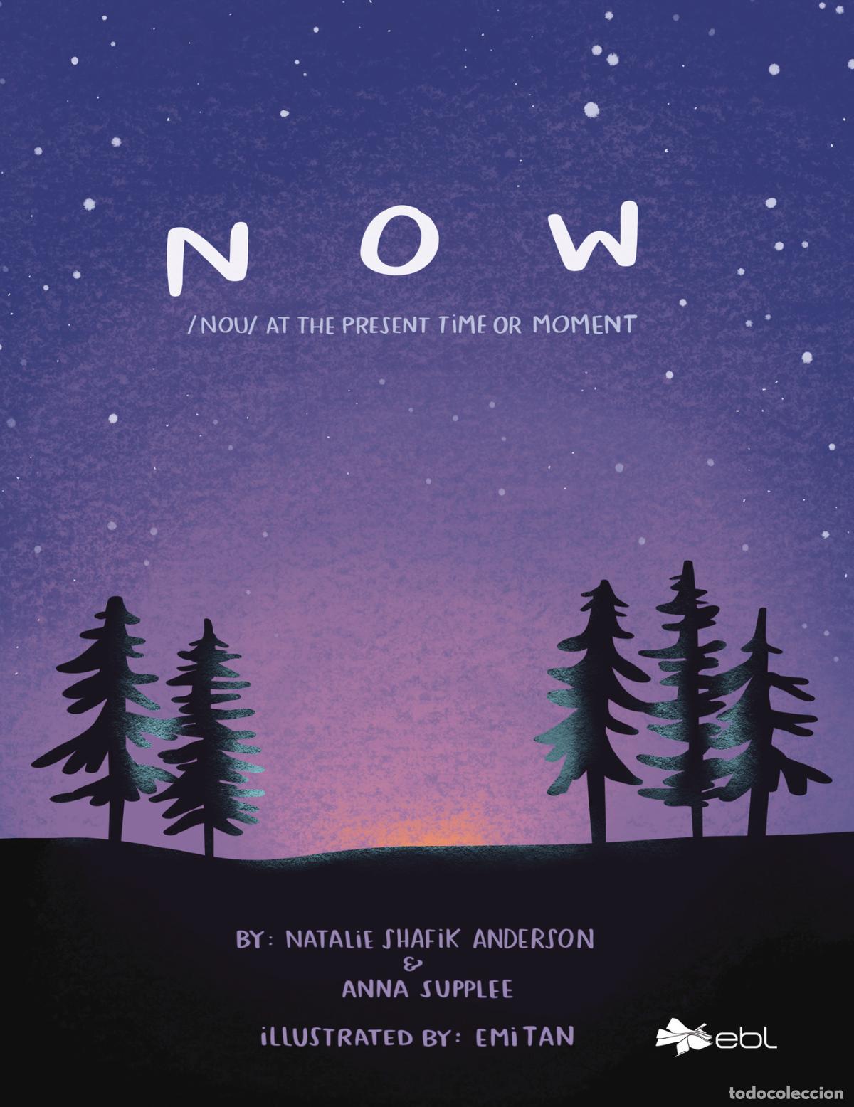books: NOW: At the Present Time or Moment - Anna Supplee