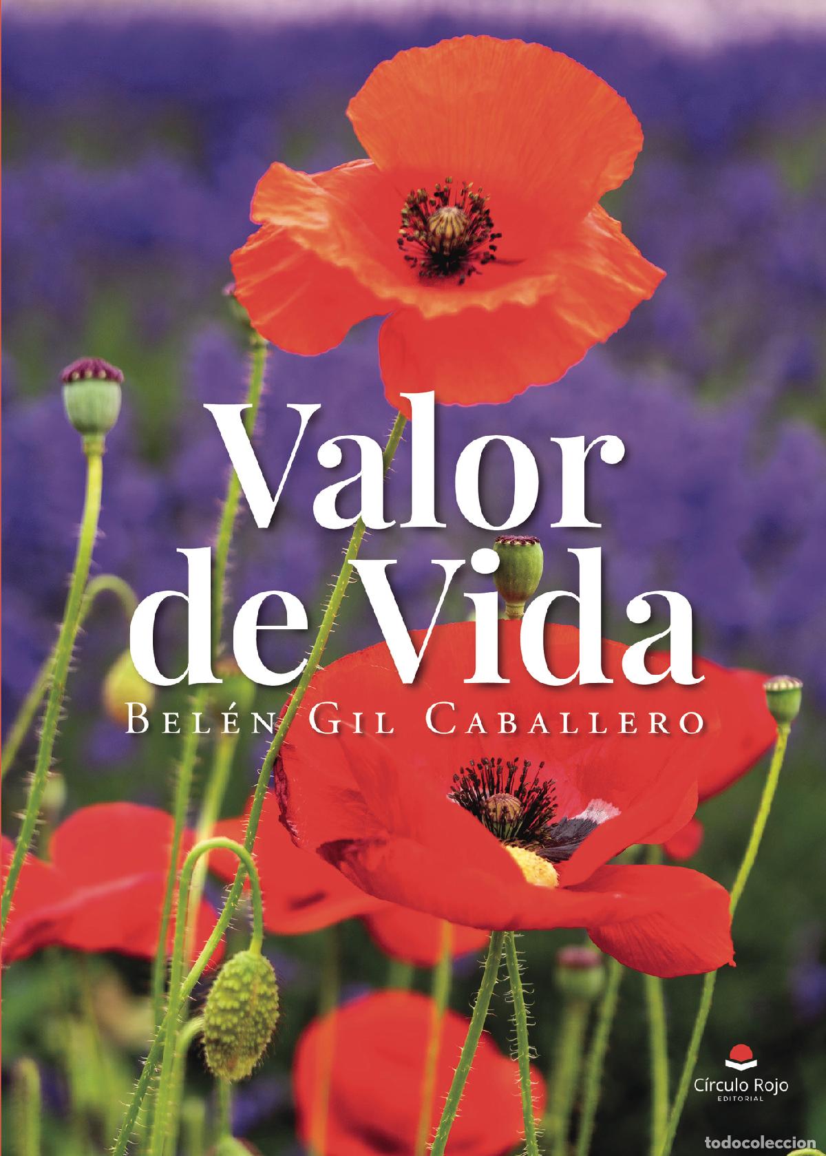 Libros: Valor de vida - Bel&eacute;n Gil Caballero - Foto 1